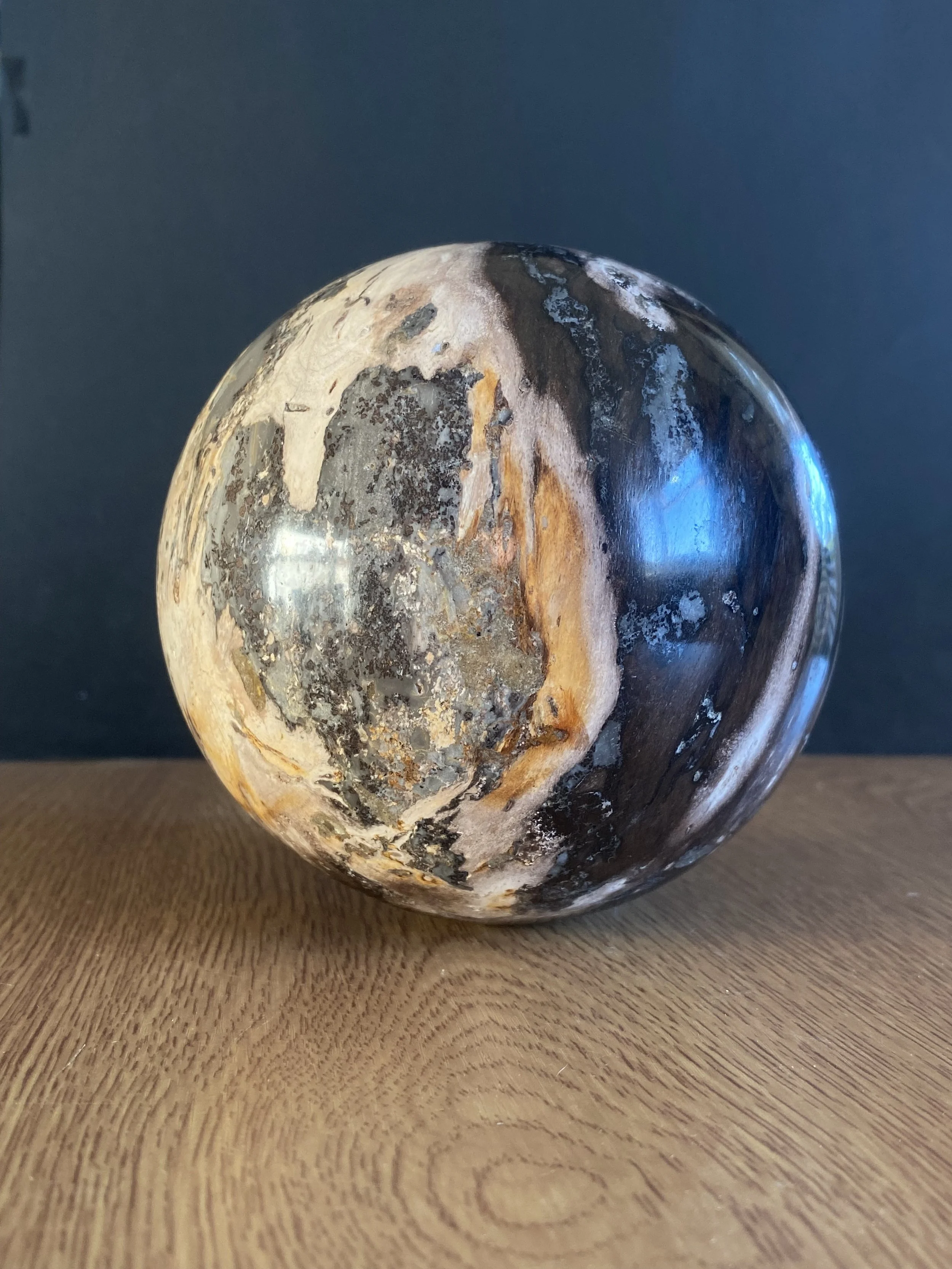 Petrified Wood Sphere