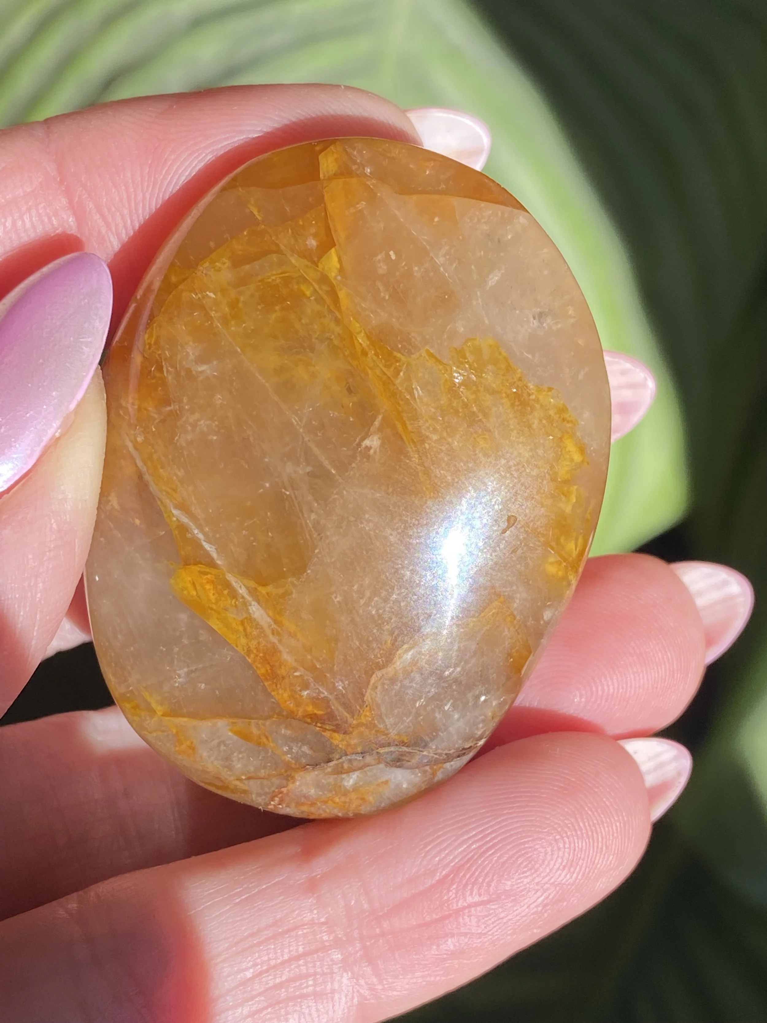 Golden Healer Palm Stone