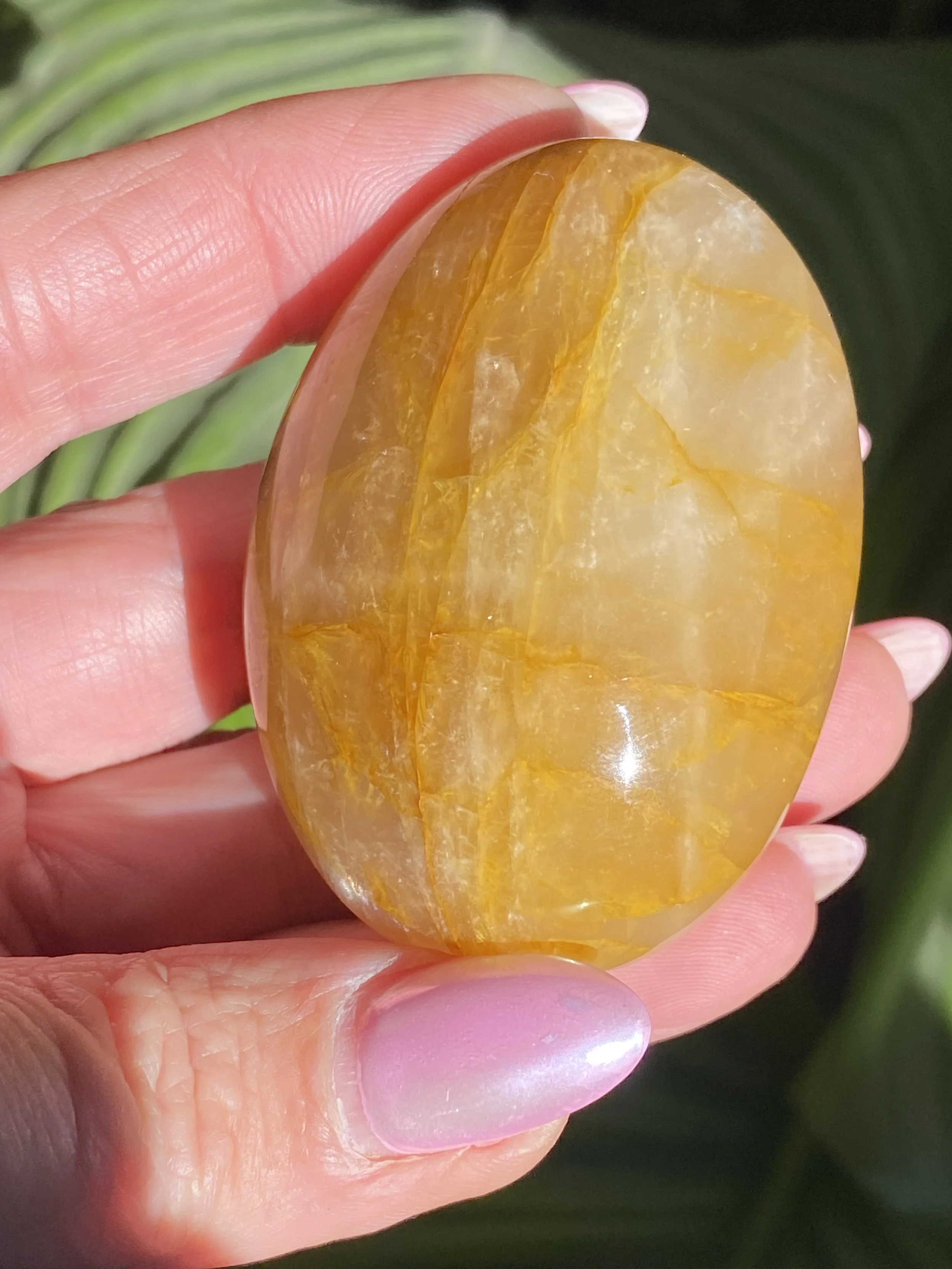 Golden Healer Palm Stone