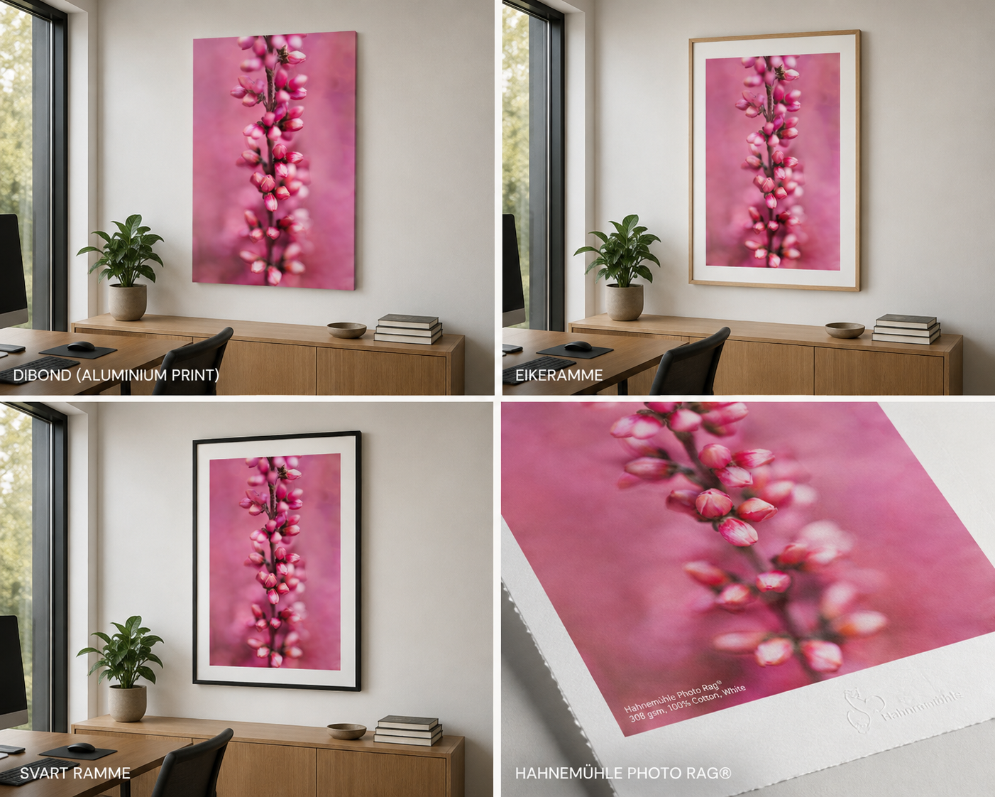 A pink floral photograph of a flower with small pink buds on a vertical stem, displayed in various frames and mounting styles in an indoor office setting. The images showcase different framing options for the artwork, including aluminum print, wooden frame, black frame, and a close-up detail of the aluminum print paper.