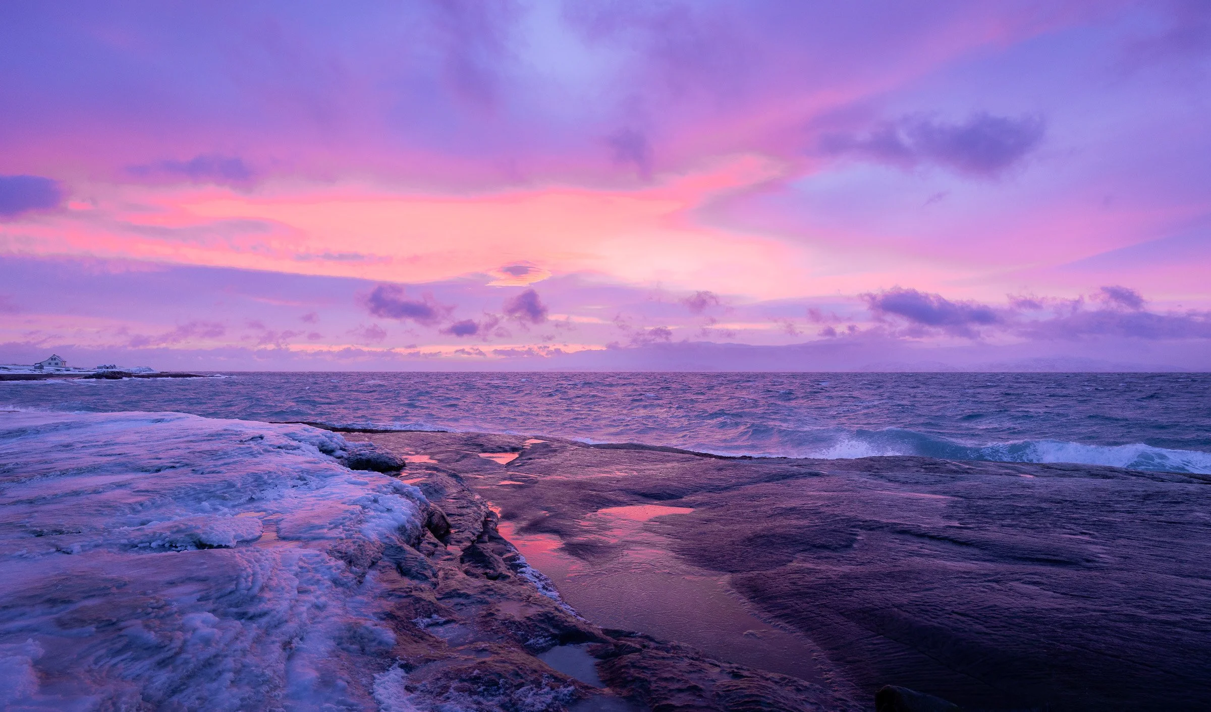 Purple Shore