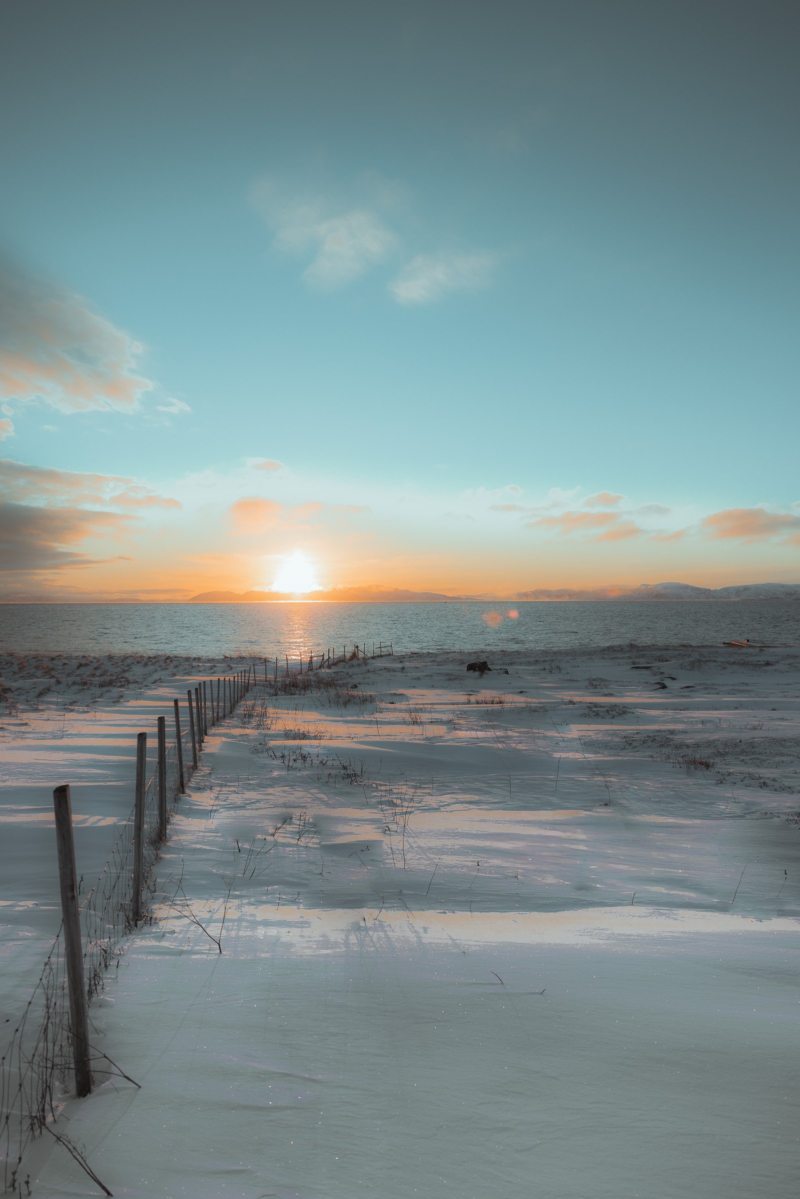 January Morning