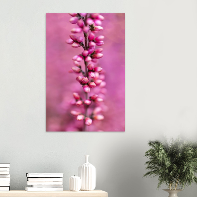 Pink_wall.png