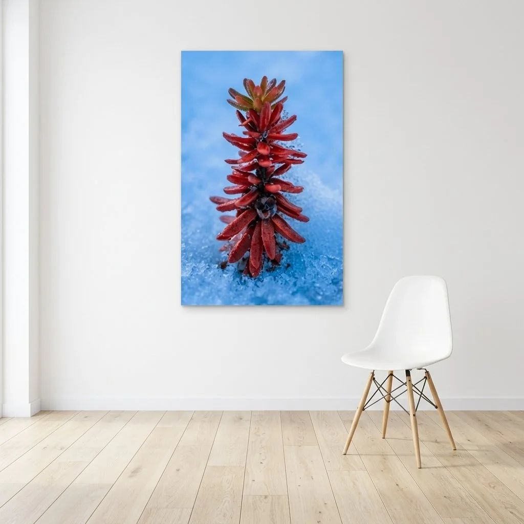 Close-up of a red plant or flower against a blue background.