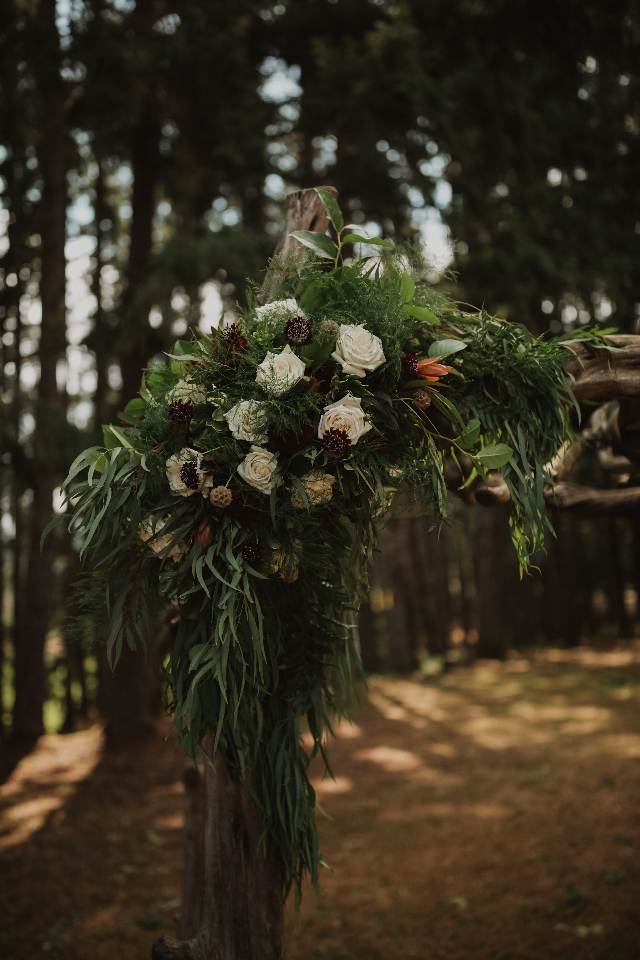 mirandalynphoto20.jpg