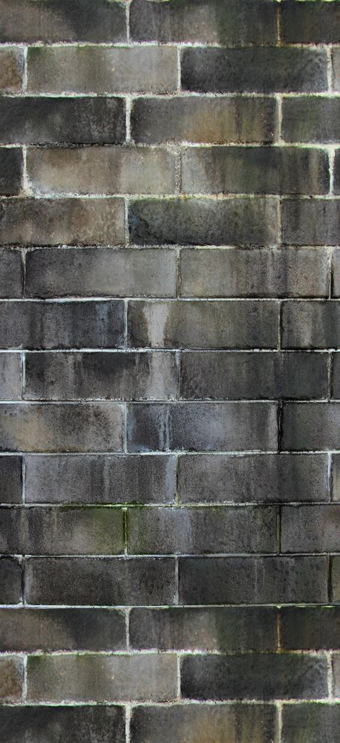 Close-up of a weathered brick wall with black, gray, and brown bricks and visible white mortar lines.
