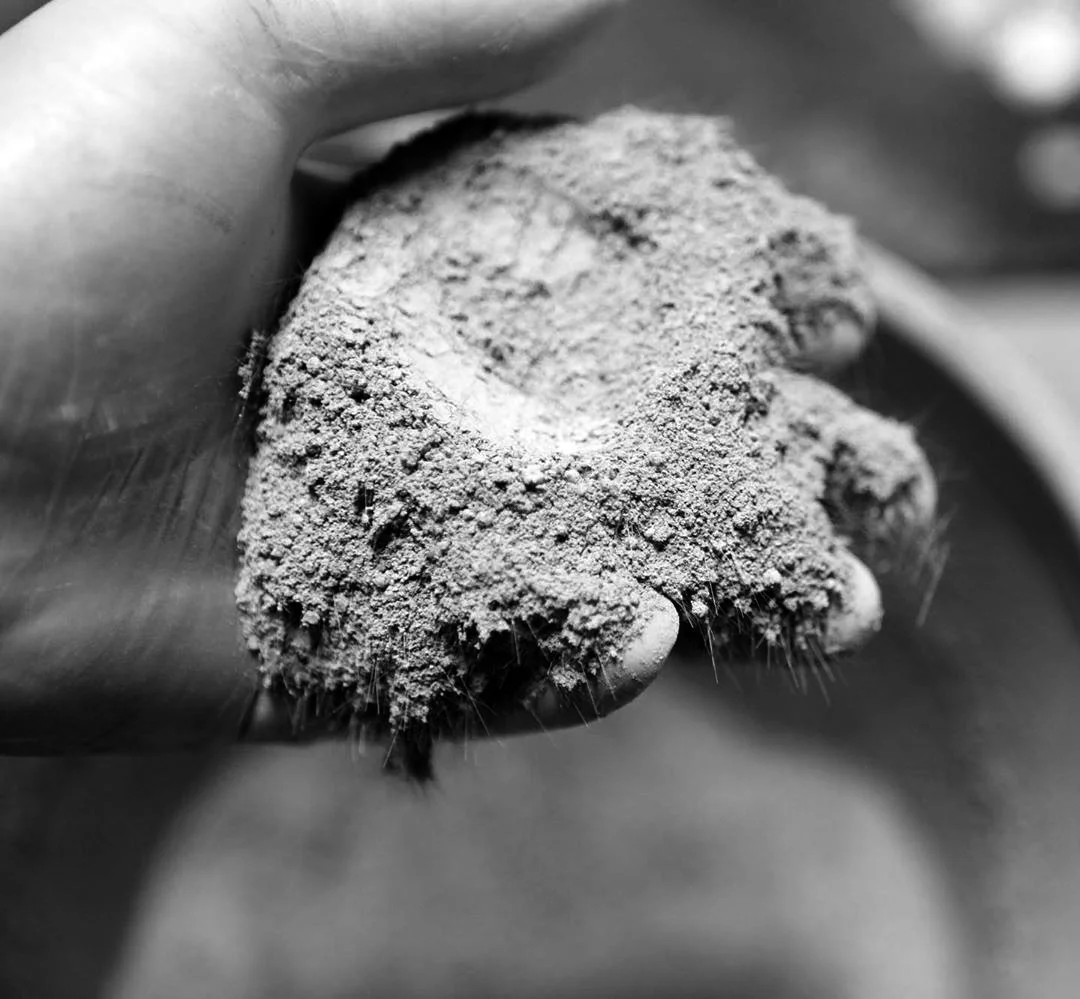 Close-up of a hand gripping a rock, with dust or powder covering the fingers, black and white photograph.