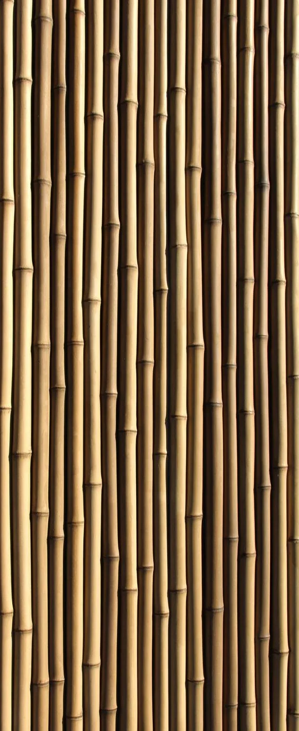 Close-up of vertical bamboo stalks