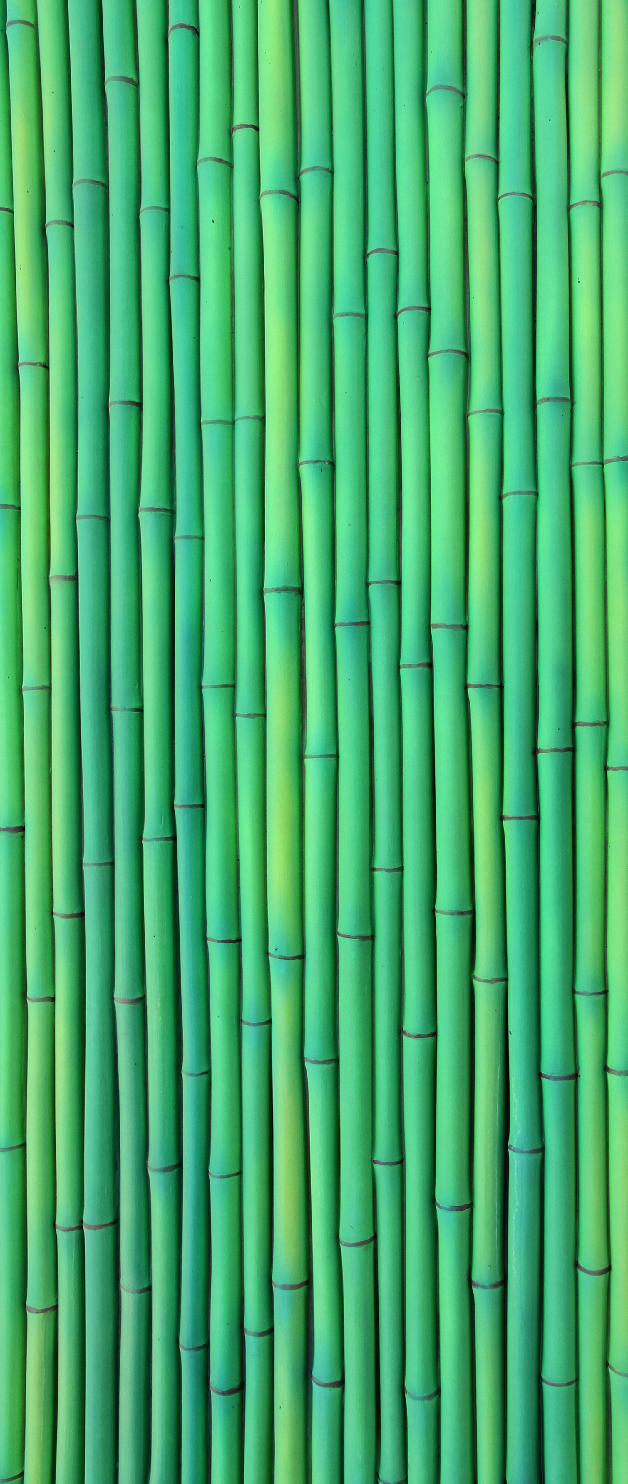 Close-up of green bamboo stalks arranged vertically.