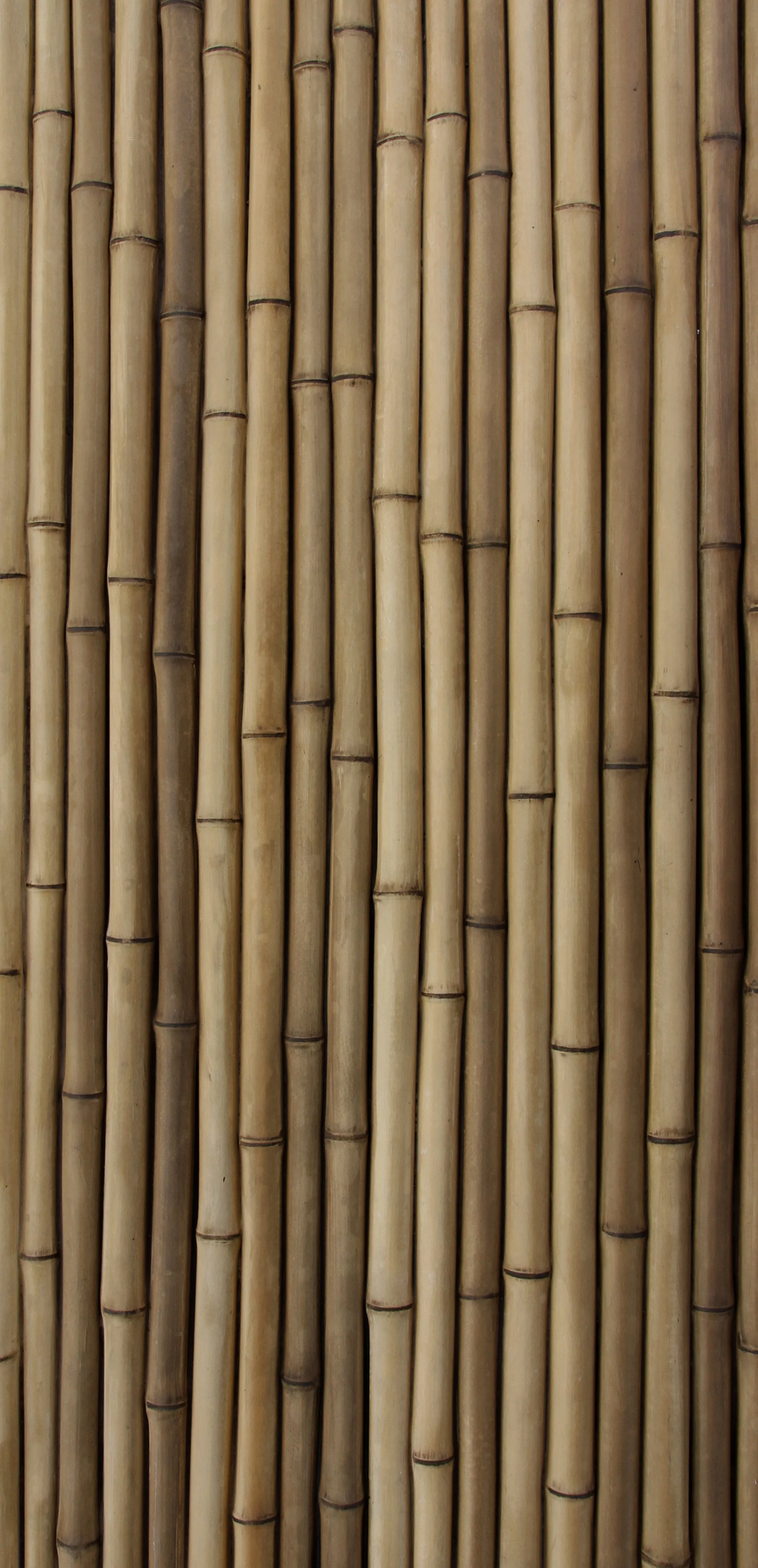 Close-up of a wall made of vertical bamboo stalks.