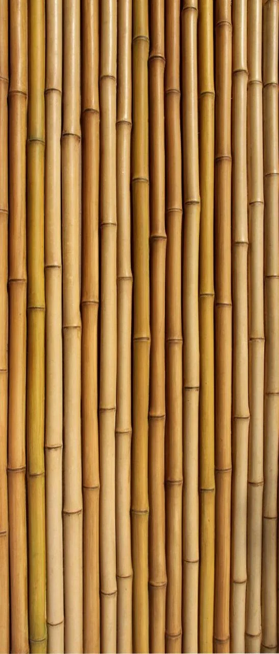 Close-up of bamboo stalks arranged vertically.