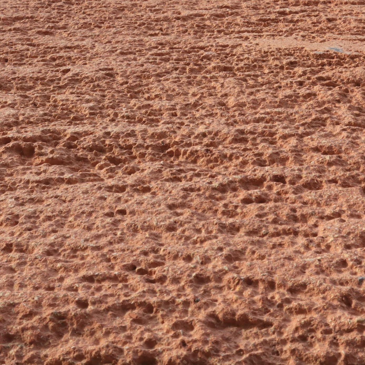 Close-up of a textured, reddish-brown rock surface with numerous small holes and uneven formations.
