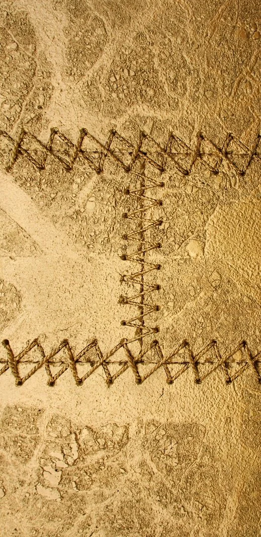 Ancient wall with fossilized plant and insect imprints, overlaid with zigzag stitching or decoration.
