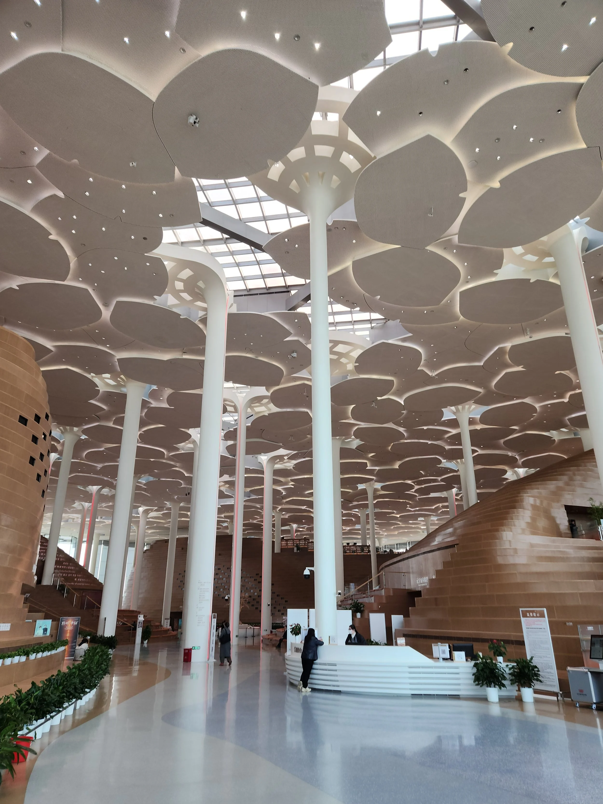 Interior view of a modern building with a high ceiling decorated with large geometric white panels supported by white columns. There are people at a reception desk and some potted plants along the edges.