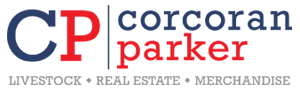 newlogo.webp