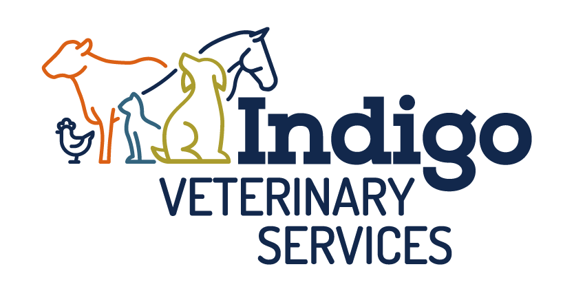 logo-21.png