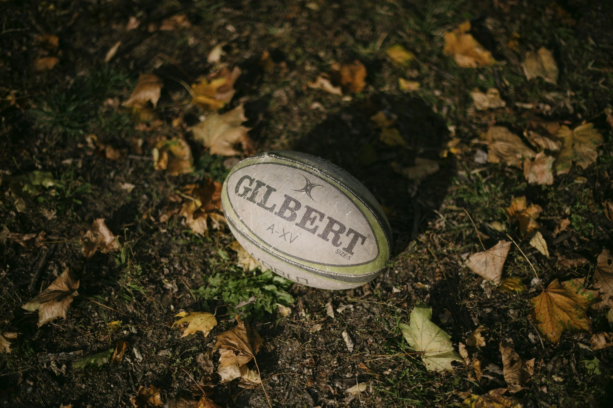 Talking Rugby.