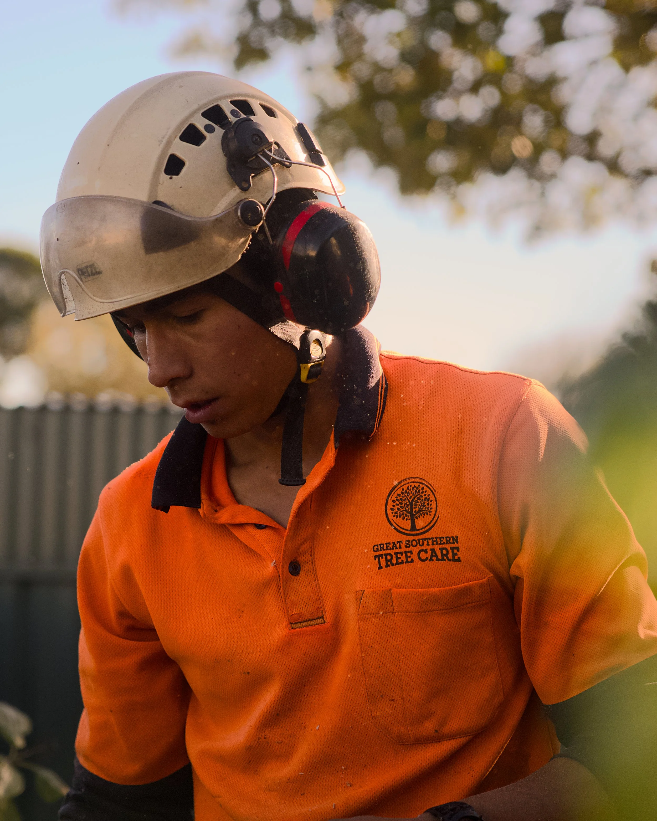 Great Southern Tree Care, Albany, WA