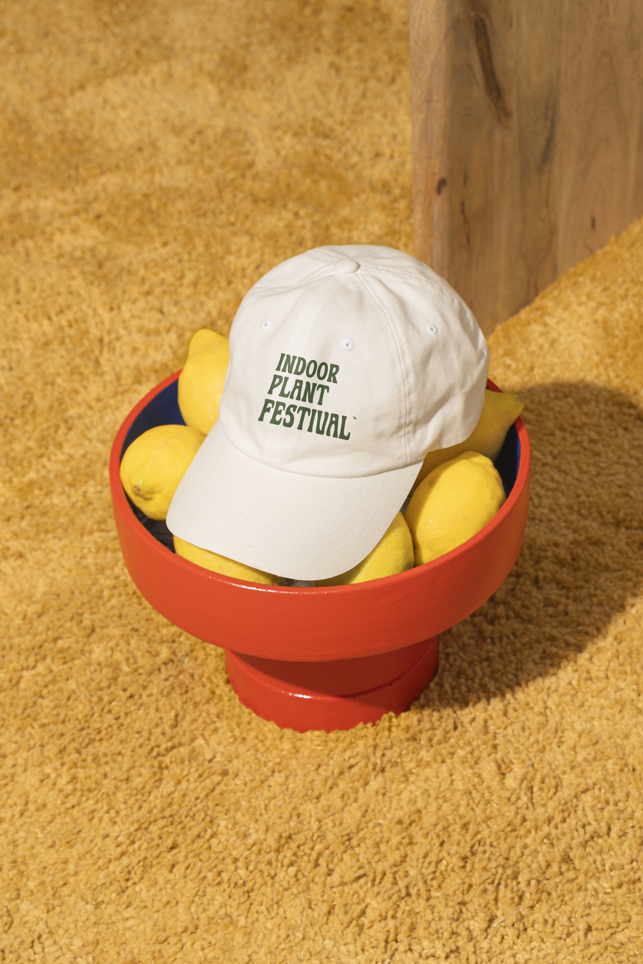 ipf_hat.jpg