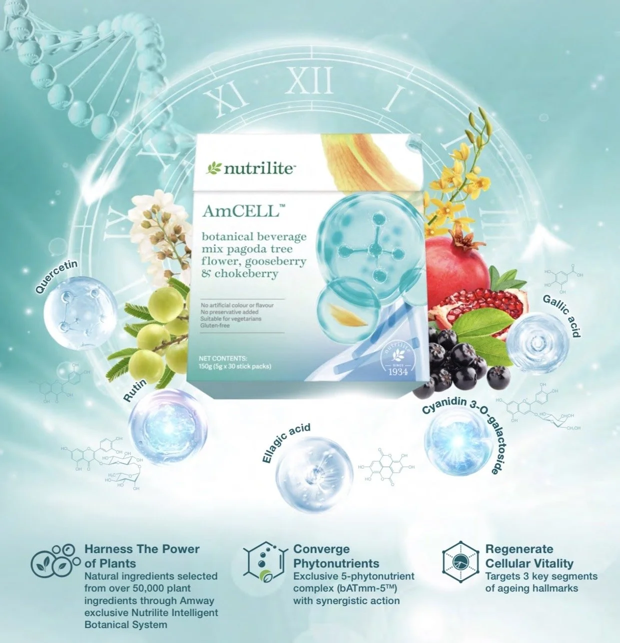 AmCELL
