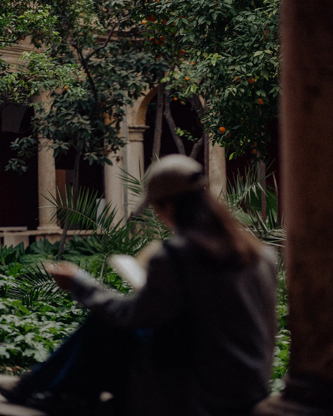 A blurry bird perched on the ground amidst lush greenery, with a stone building and orange trees in the background.