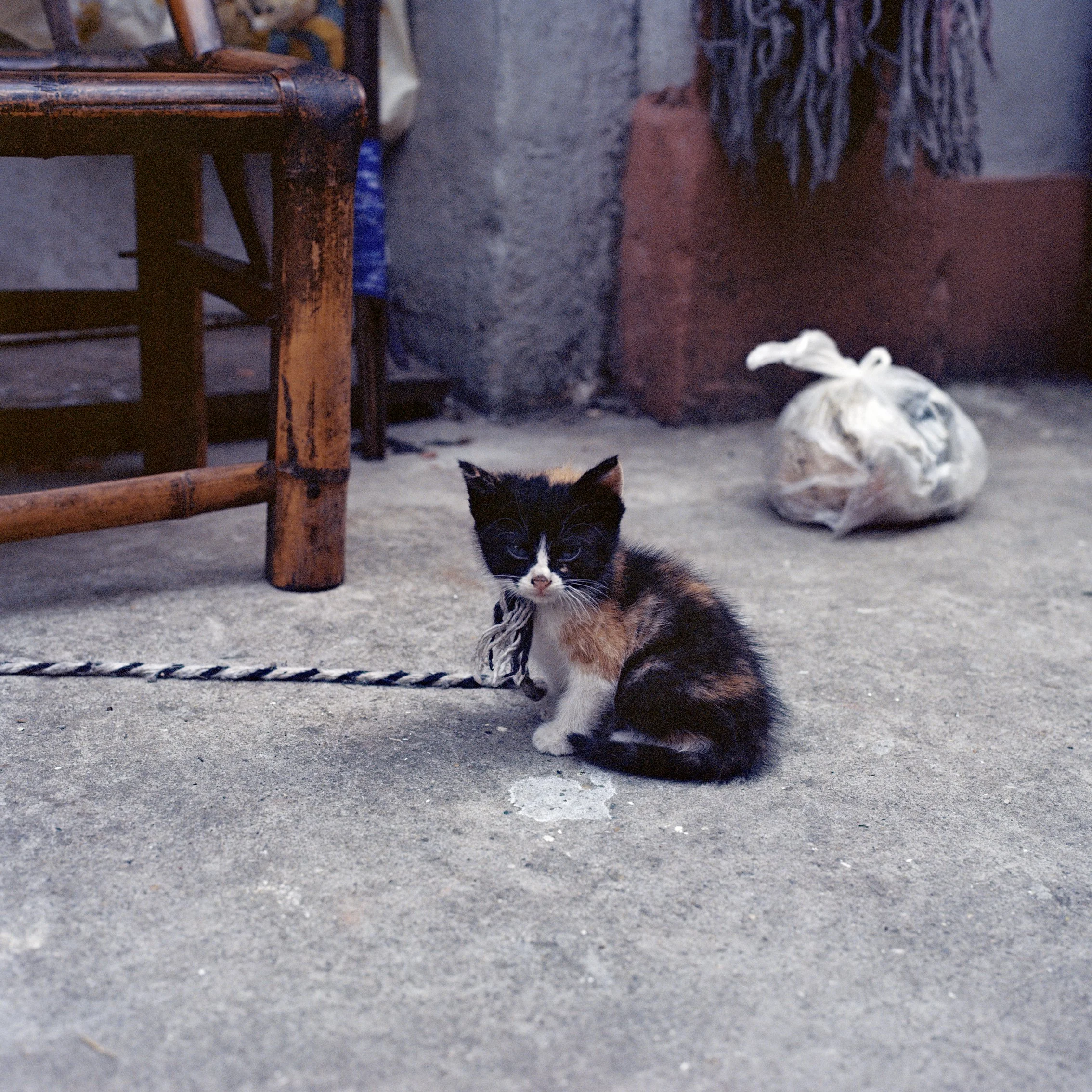 Shanghai_70.jpg