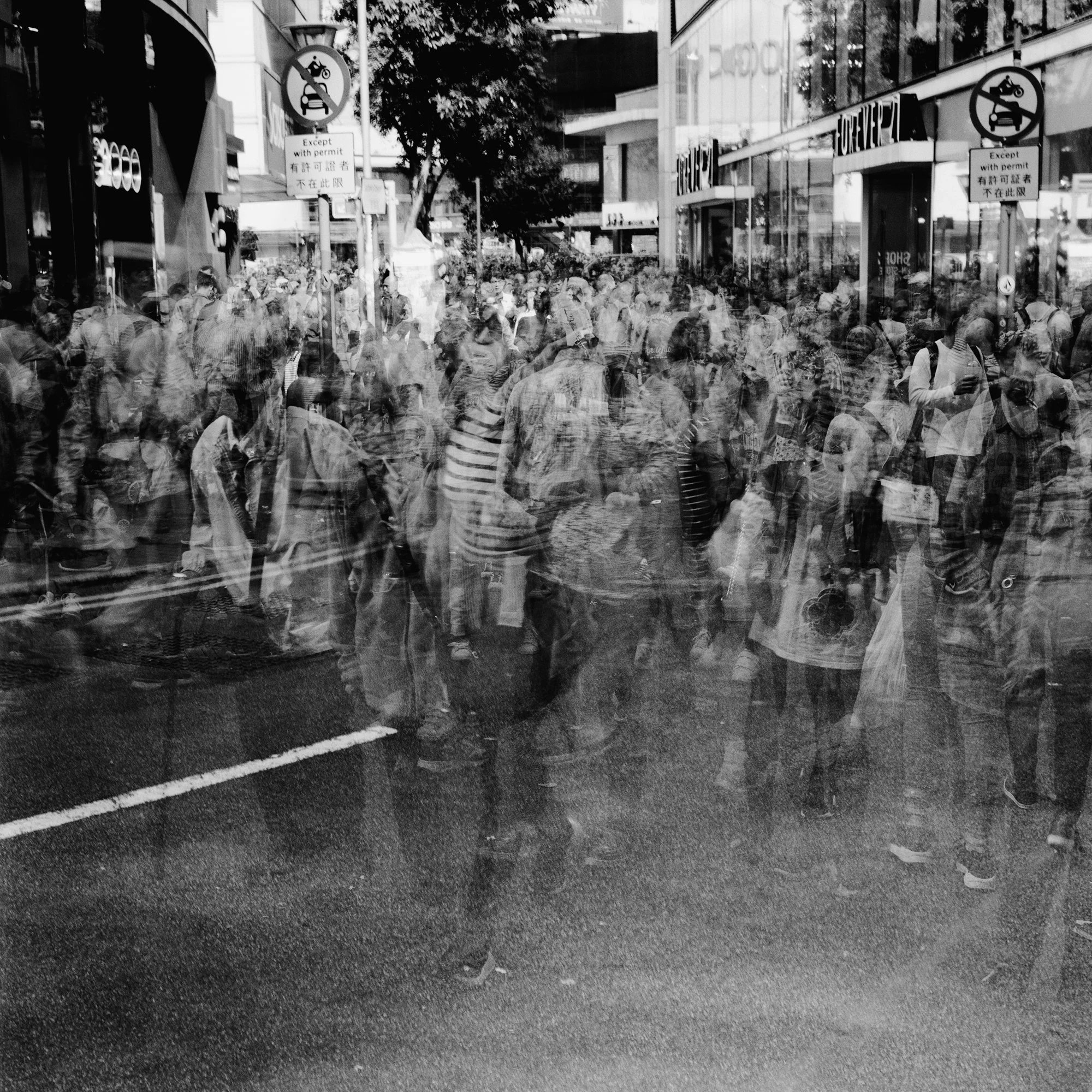 Frenetic City_49_72dpi.jpg