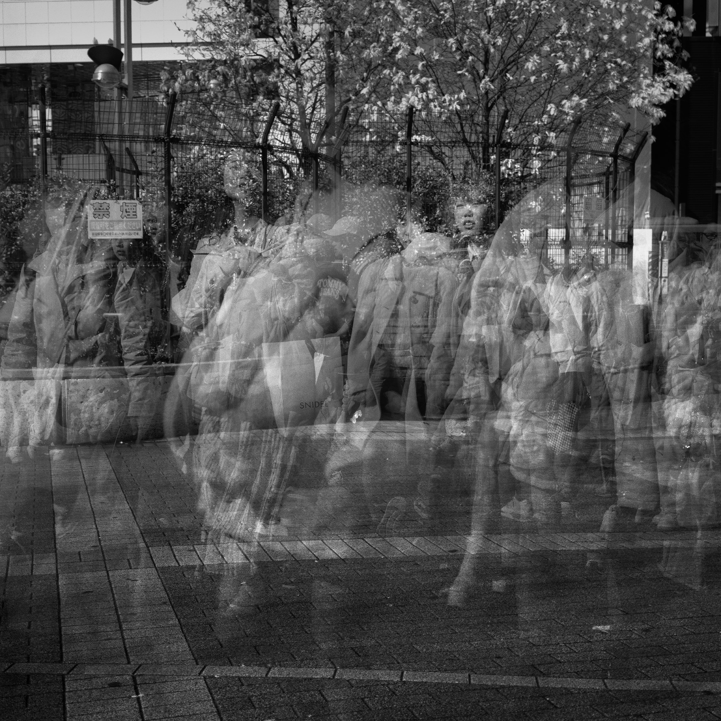 Frenetic_Tokyo_13_72dpi.jpg