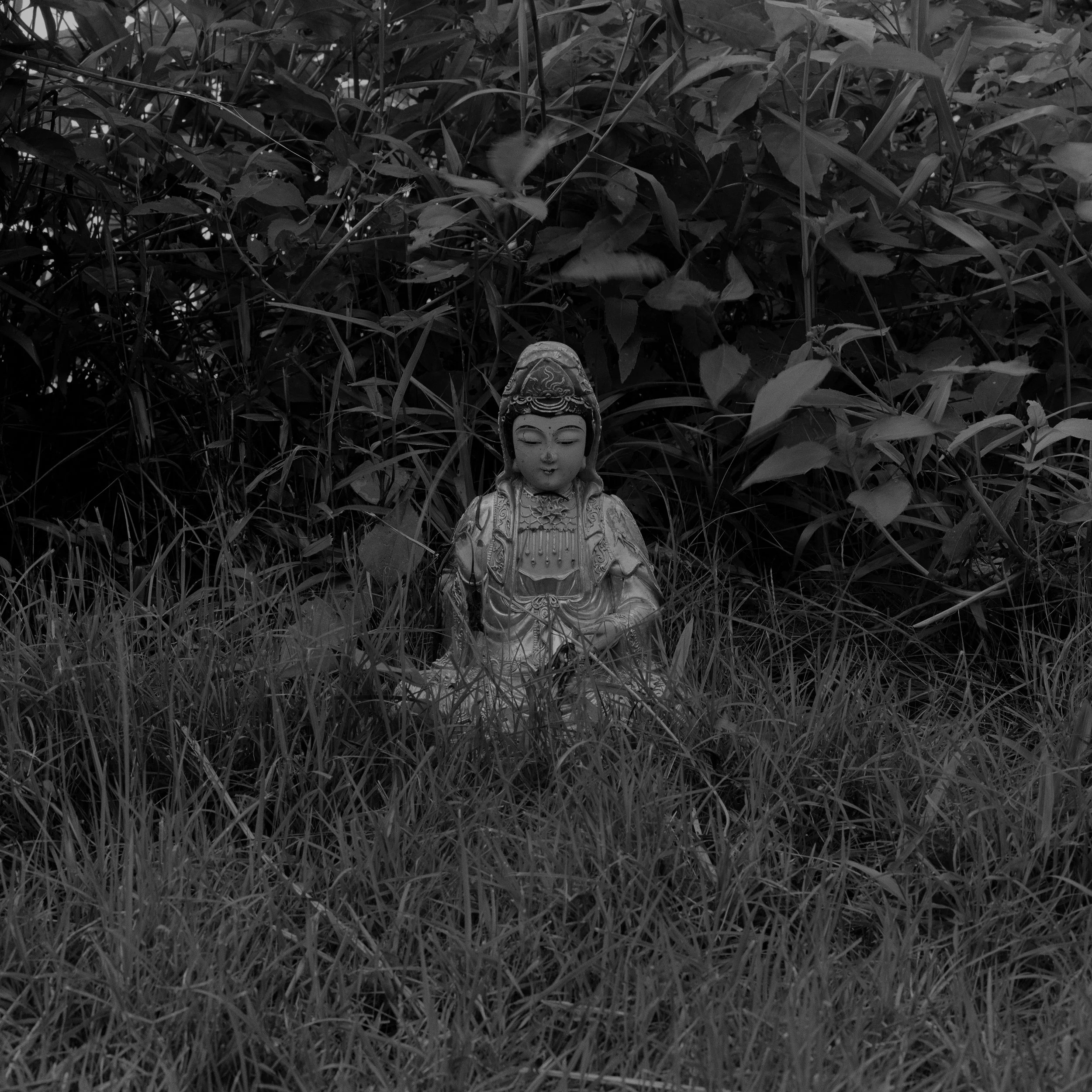 Abandoned Gods_01.jpg