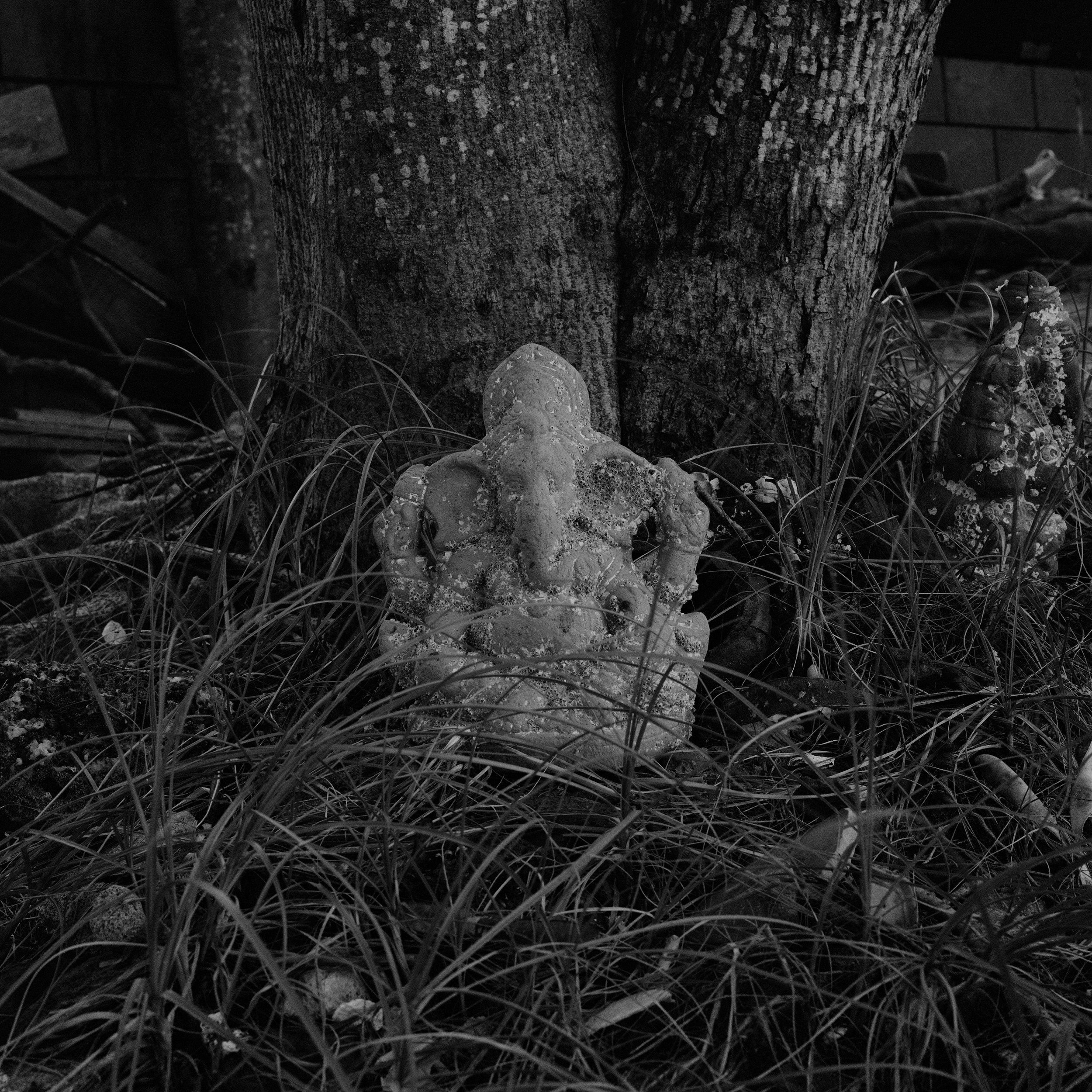 Abandoned Gods_27.jpg