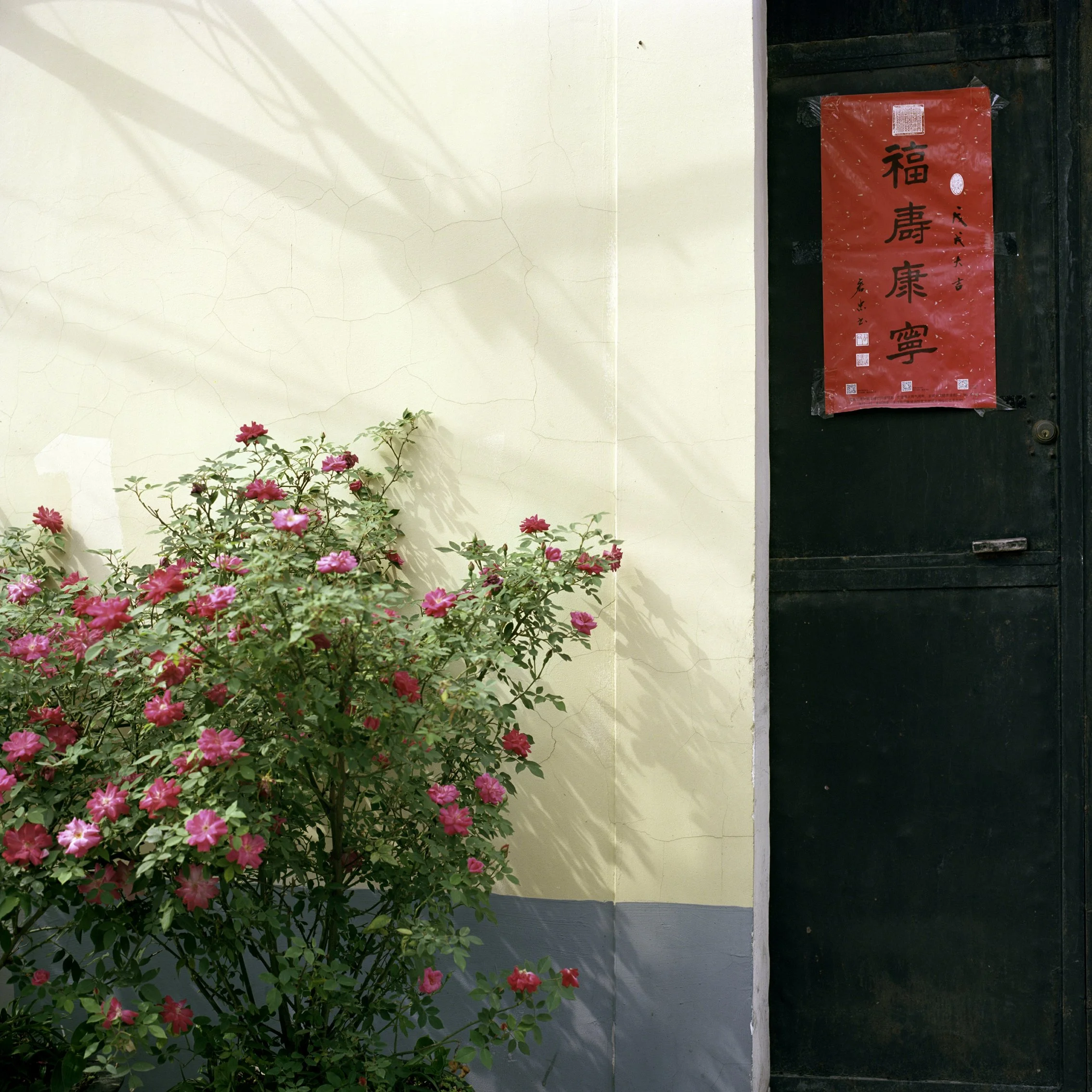 Shanghai_57.jpg