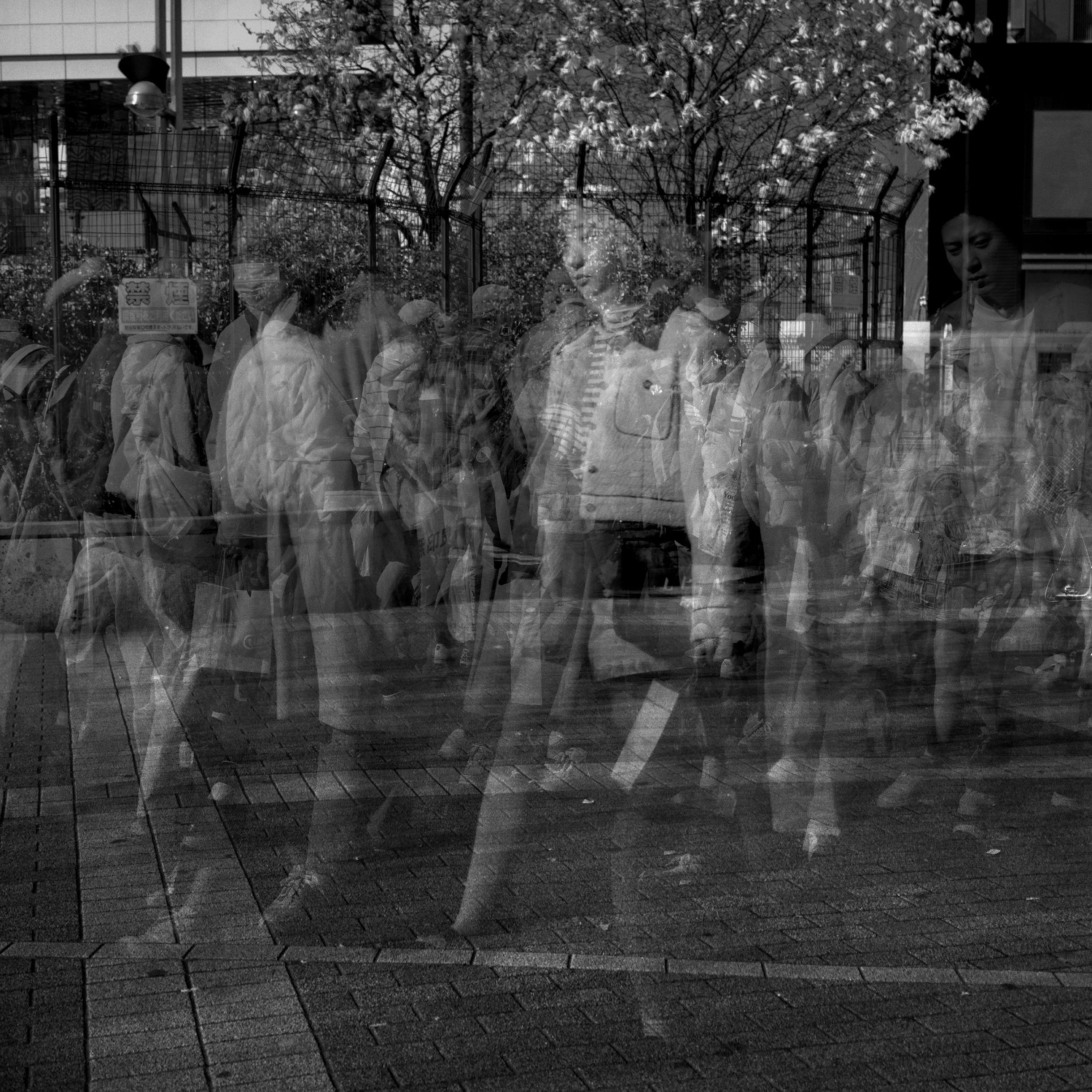 Frenetic_Tokyo_15_72dpi.jpg