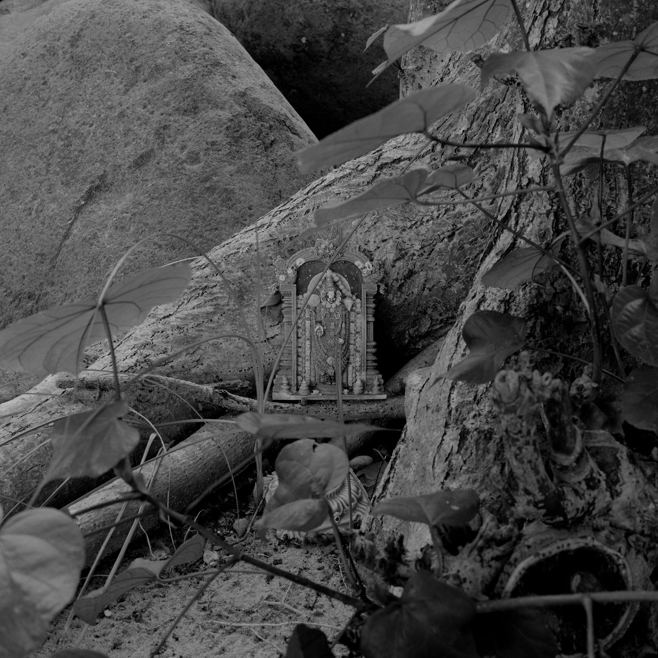 Abandoned Gods_21.jpg
