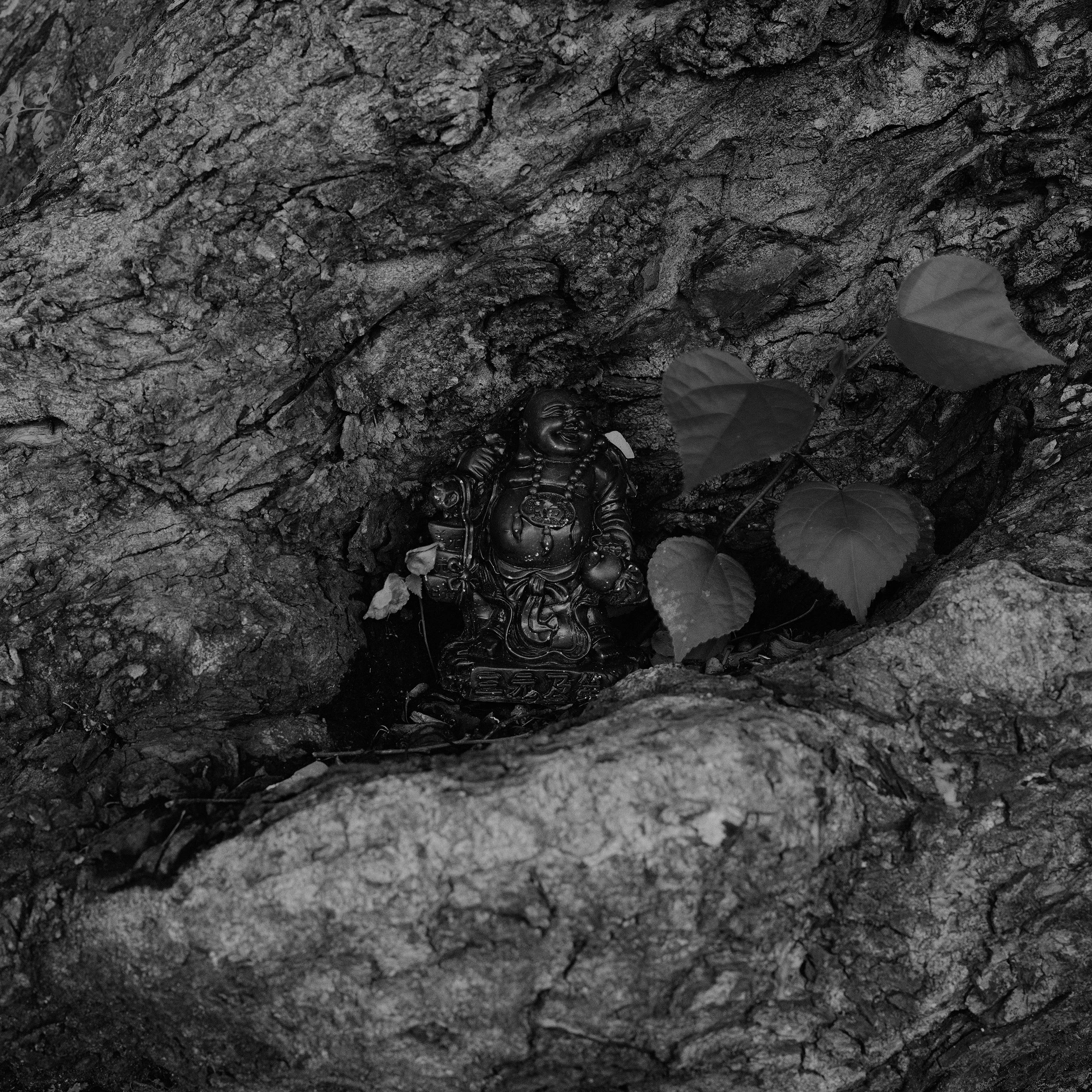 Abandoned Gods_11A.jpg