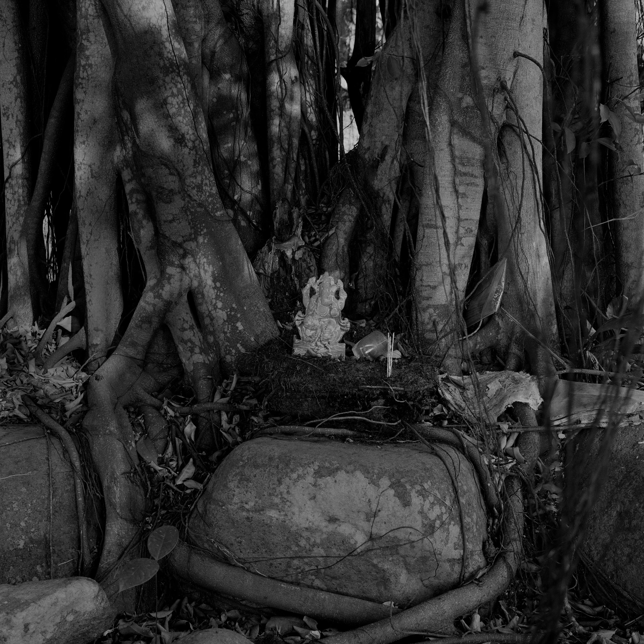Abandoned Gods_19.jpg