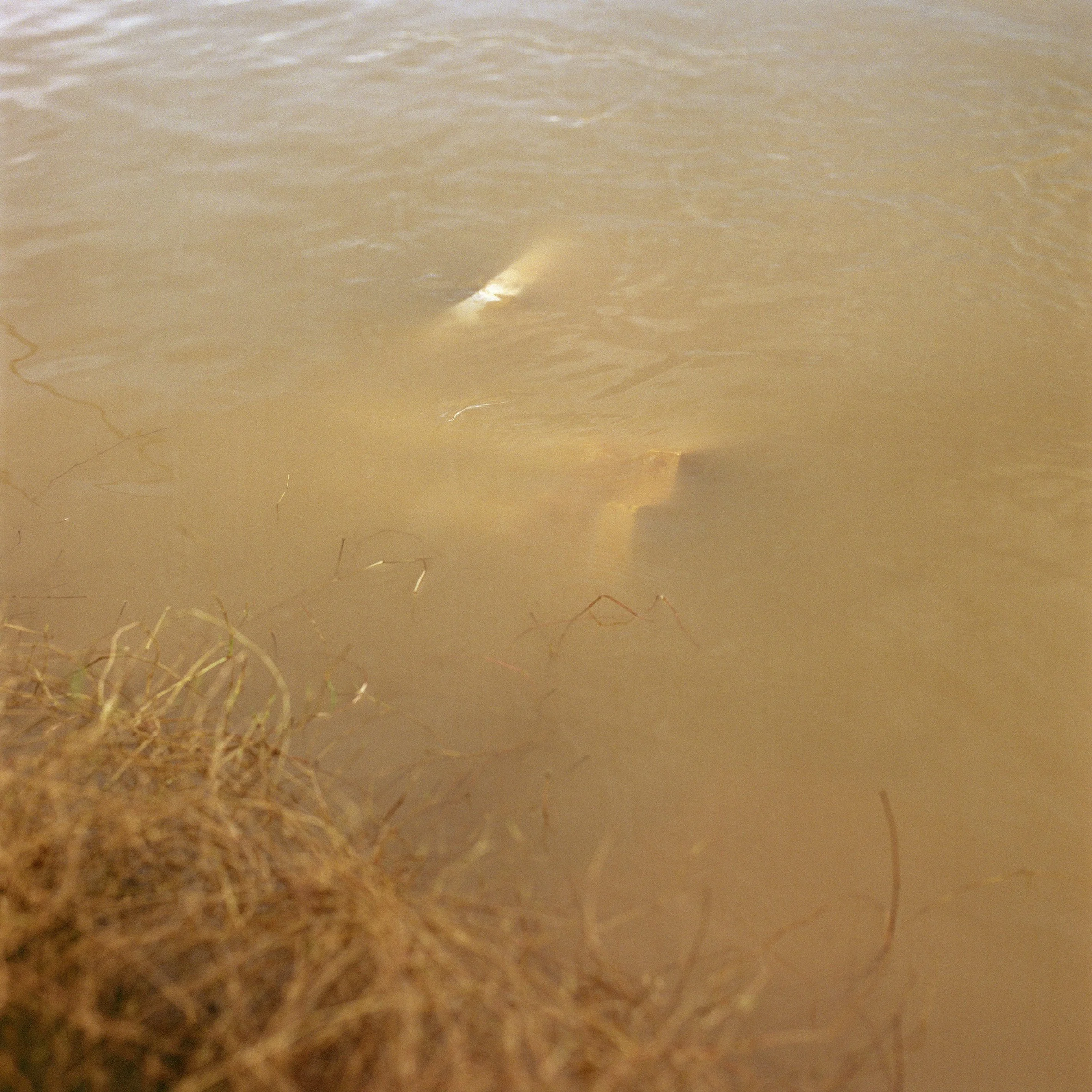 Mekong_Laos_75 copy.jpg
