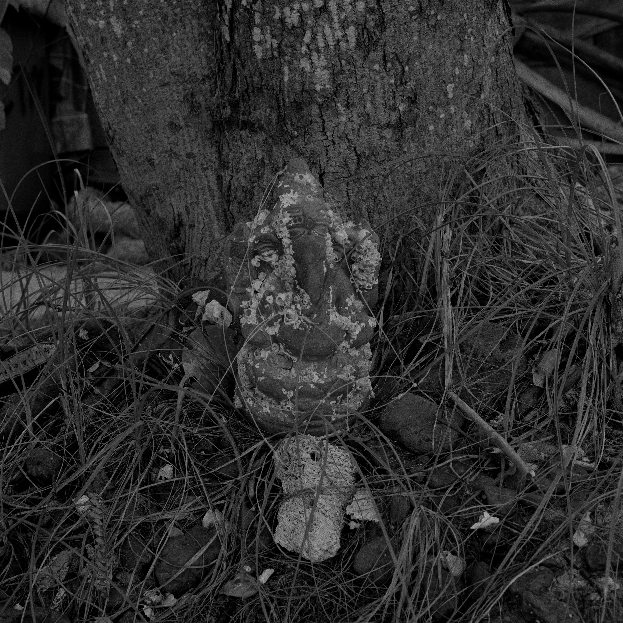 Abandoned Gods_26.jpg