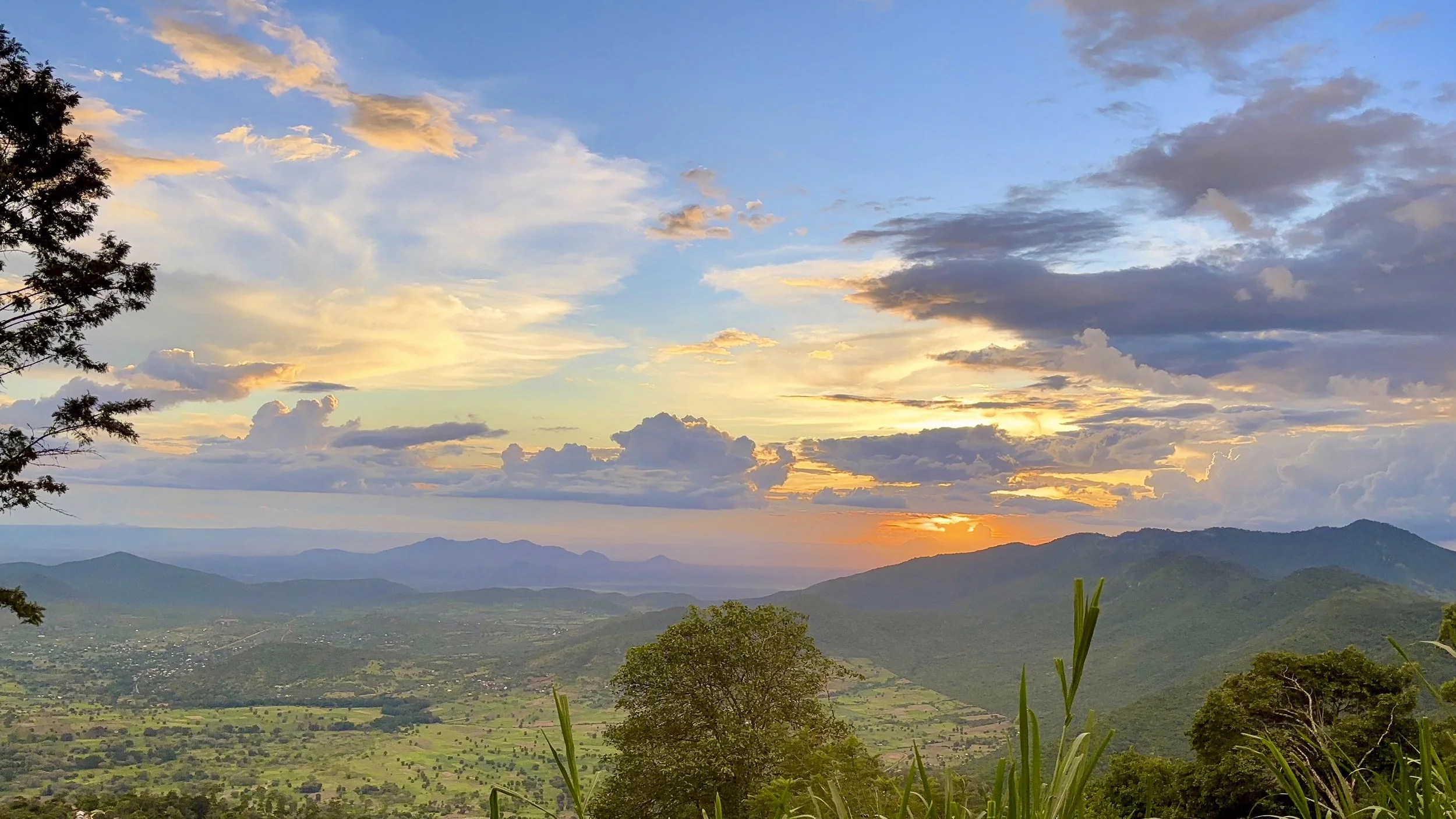 Birding in Tanzania's South Pare and Usambara Mountains
