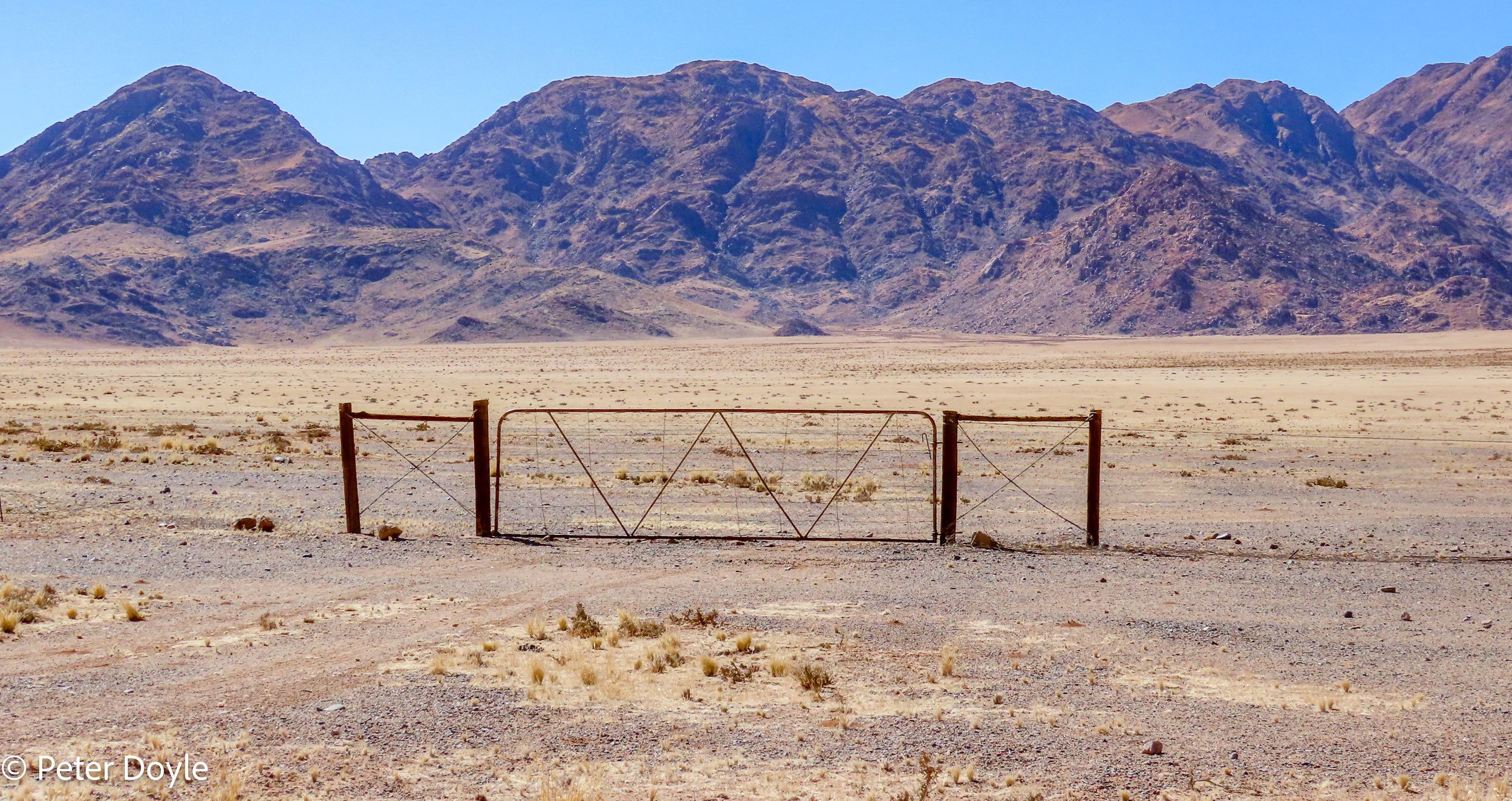 Namib_23042023_170017.jpg