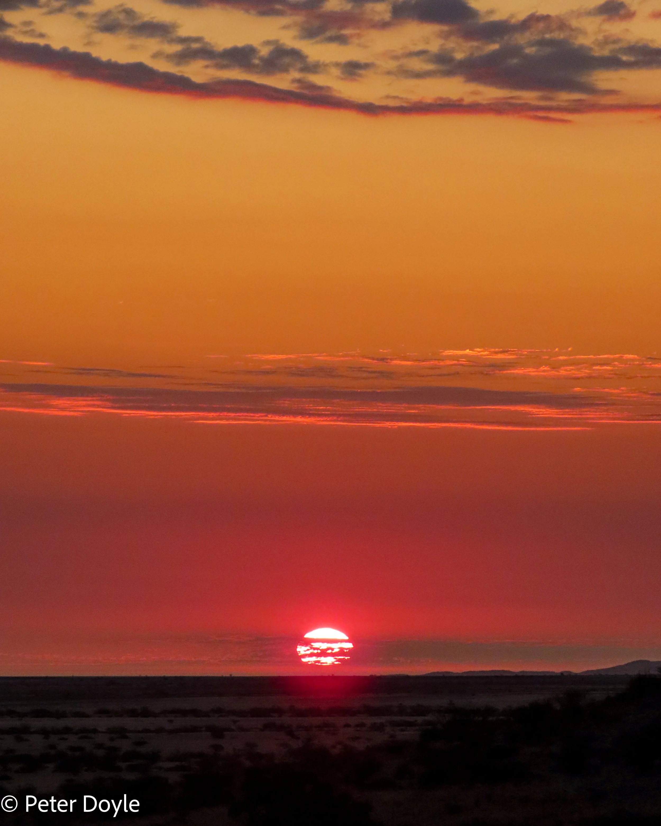 IMG_4659.jpg