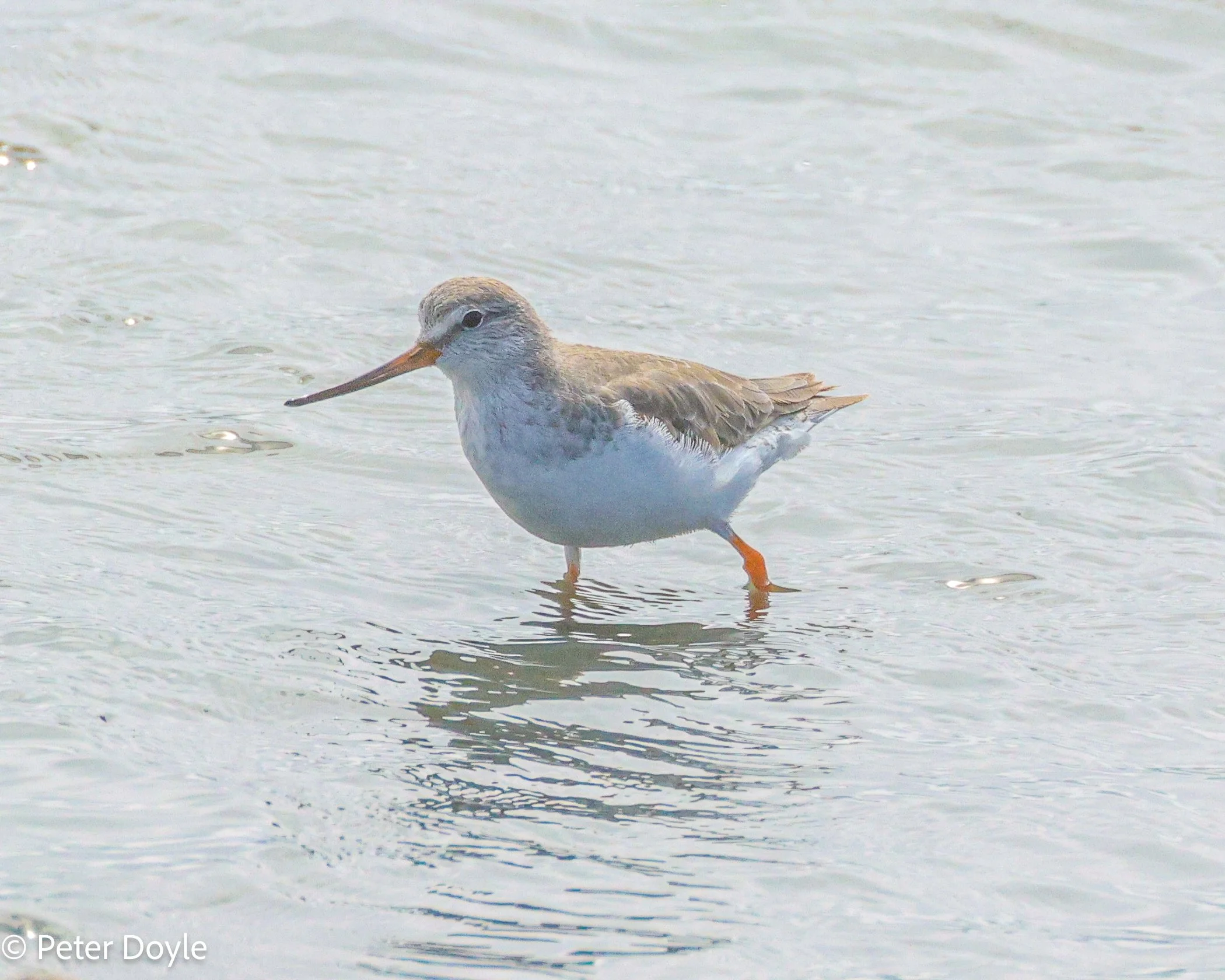 Walvis_Bay_27042023_0518.jpg