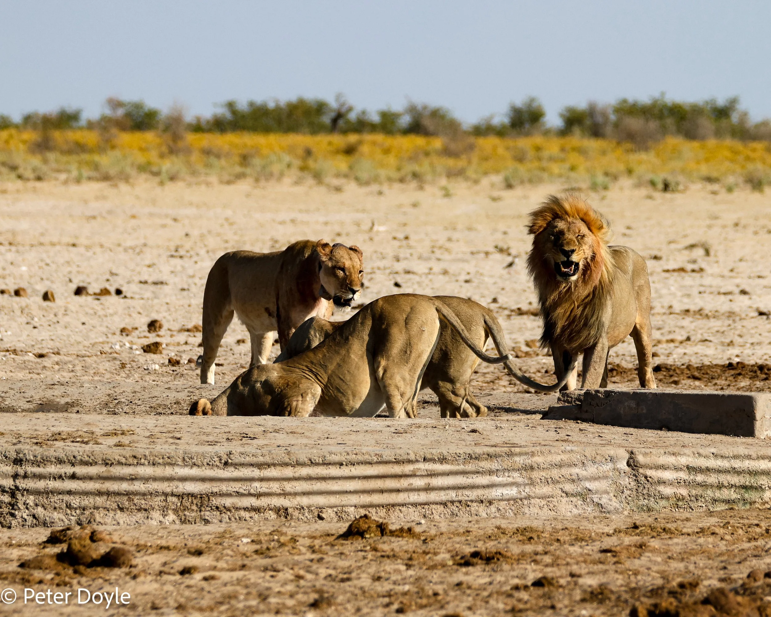 Etosha_12052023_0078.jpg