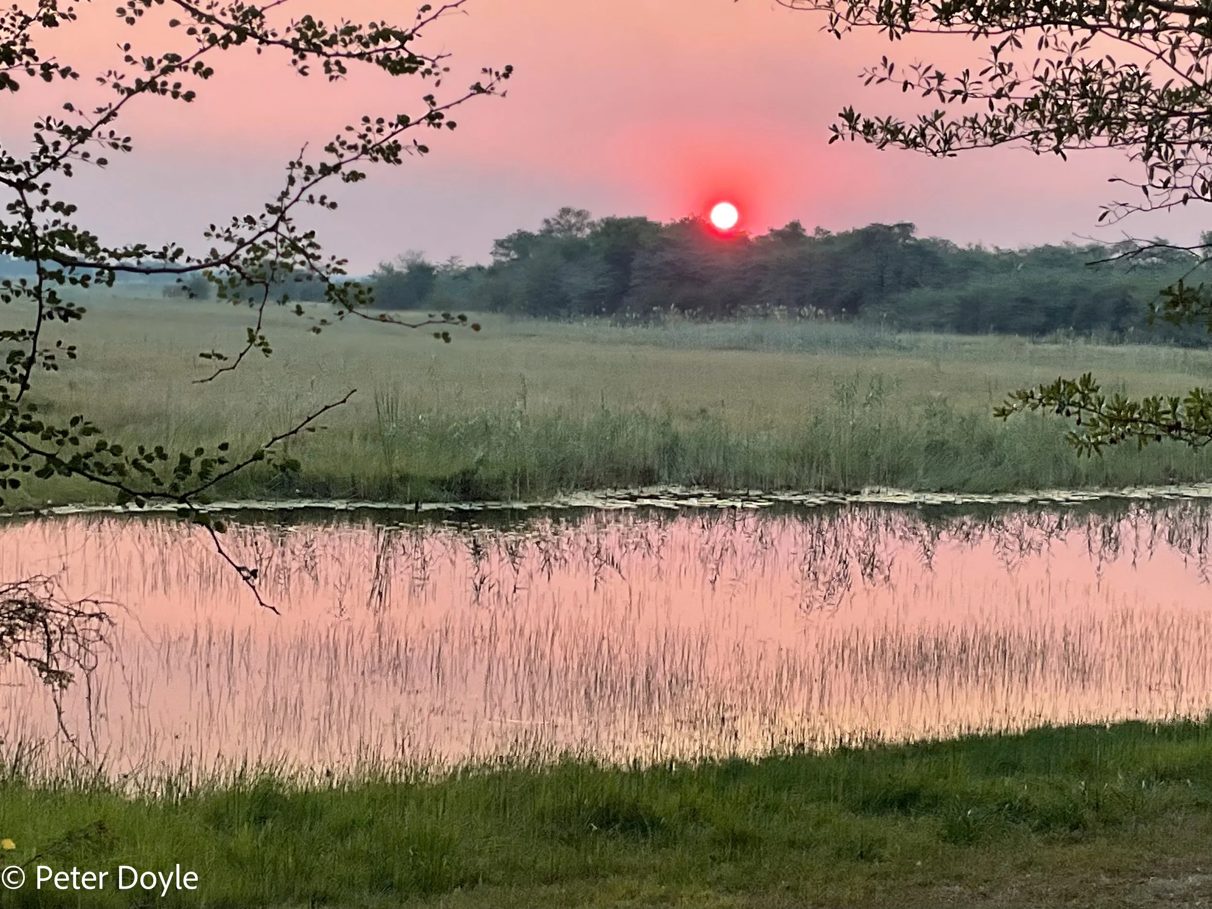 Travels in Namibia - Caprivi