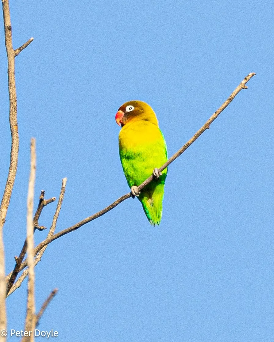 Tanzania_20260403_014.jpg