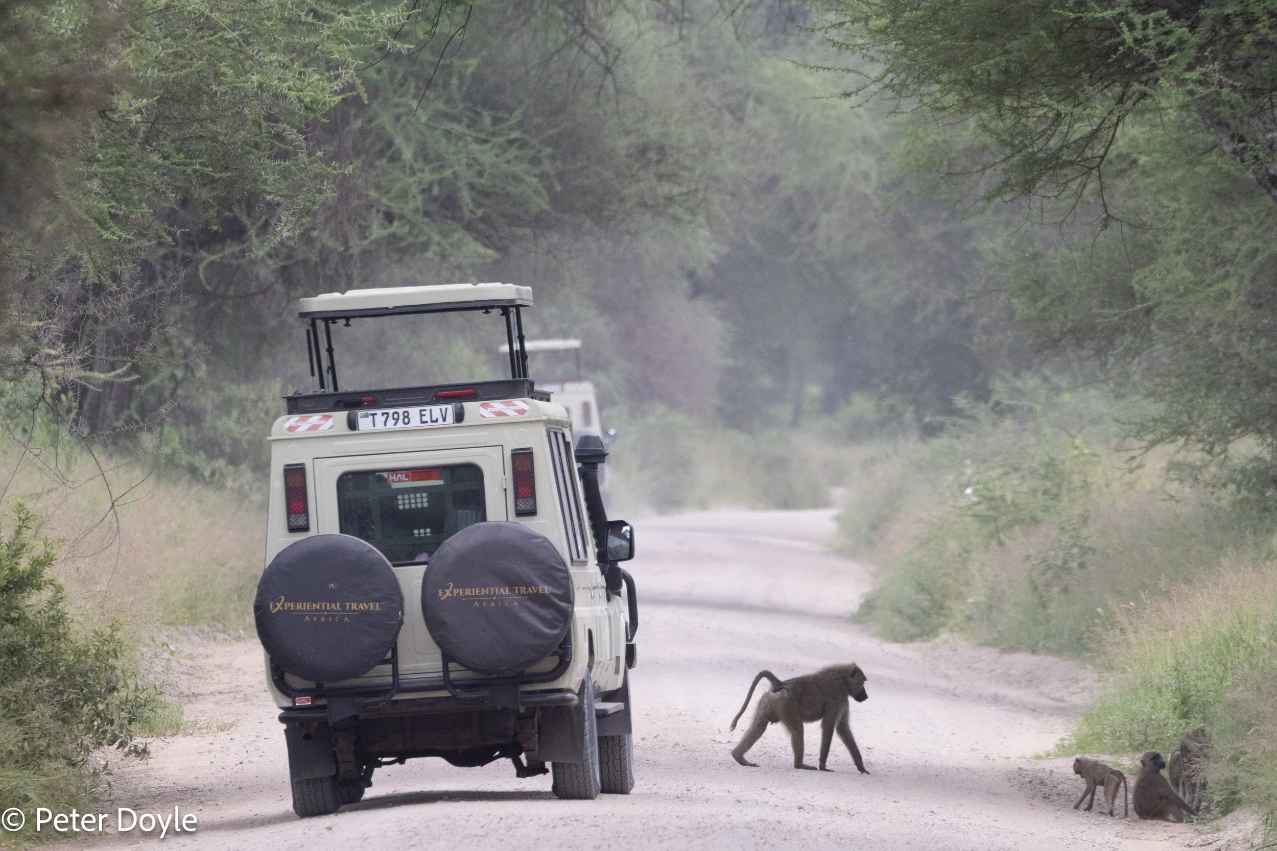 Tanzania_20260403_144.jpg