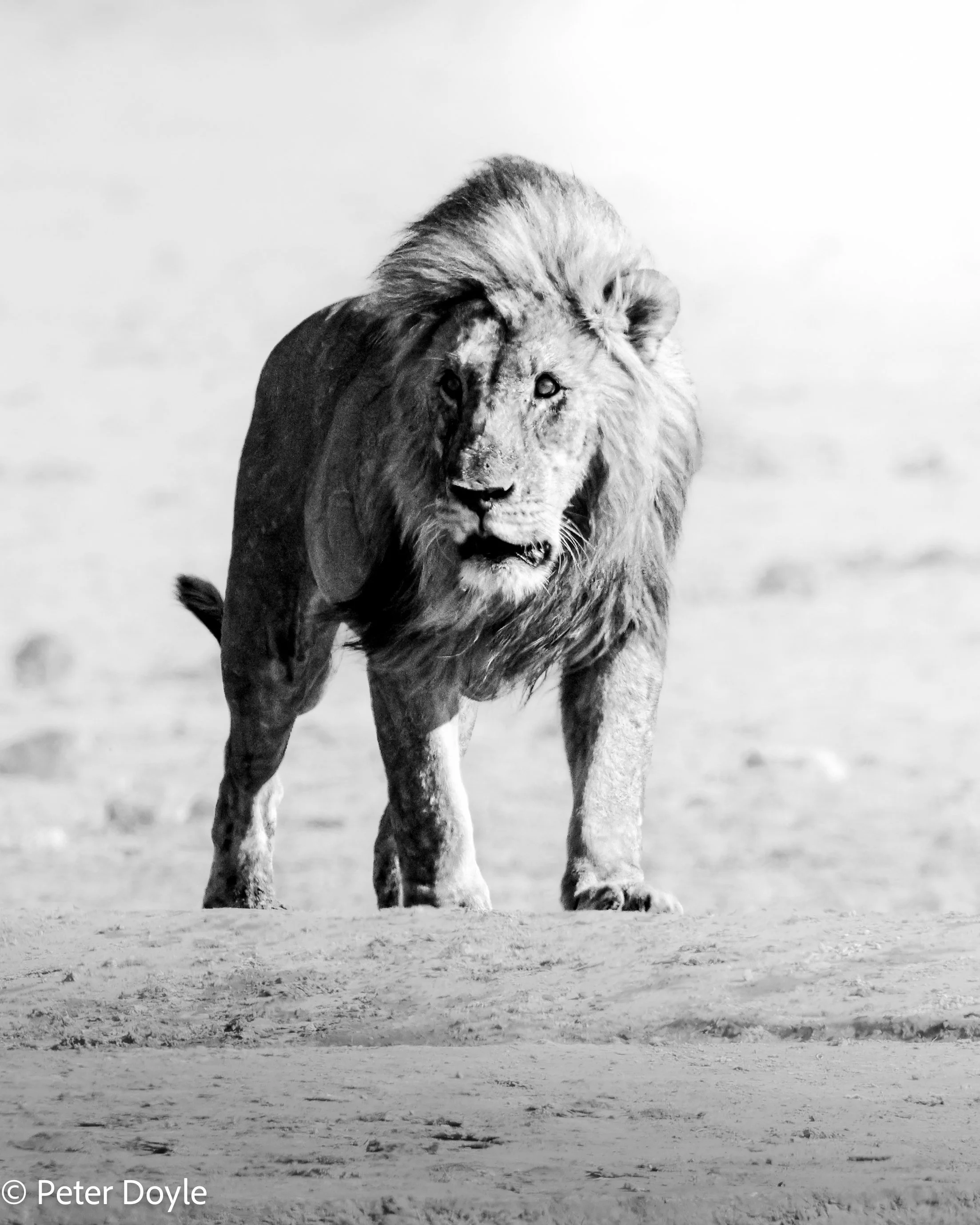 Etosha_12052023_0046.jpg