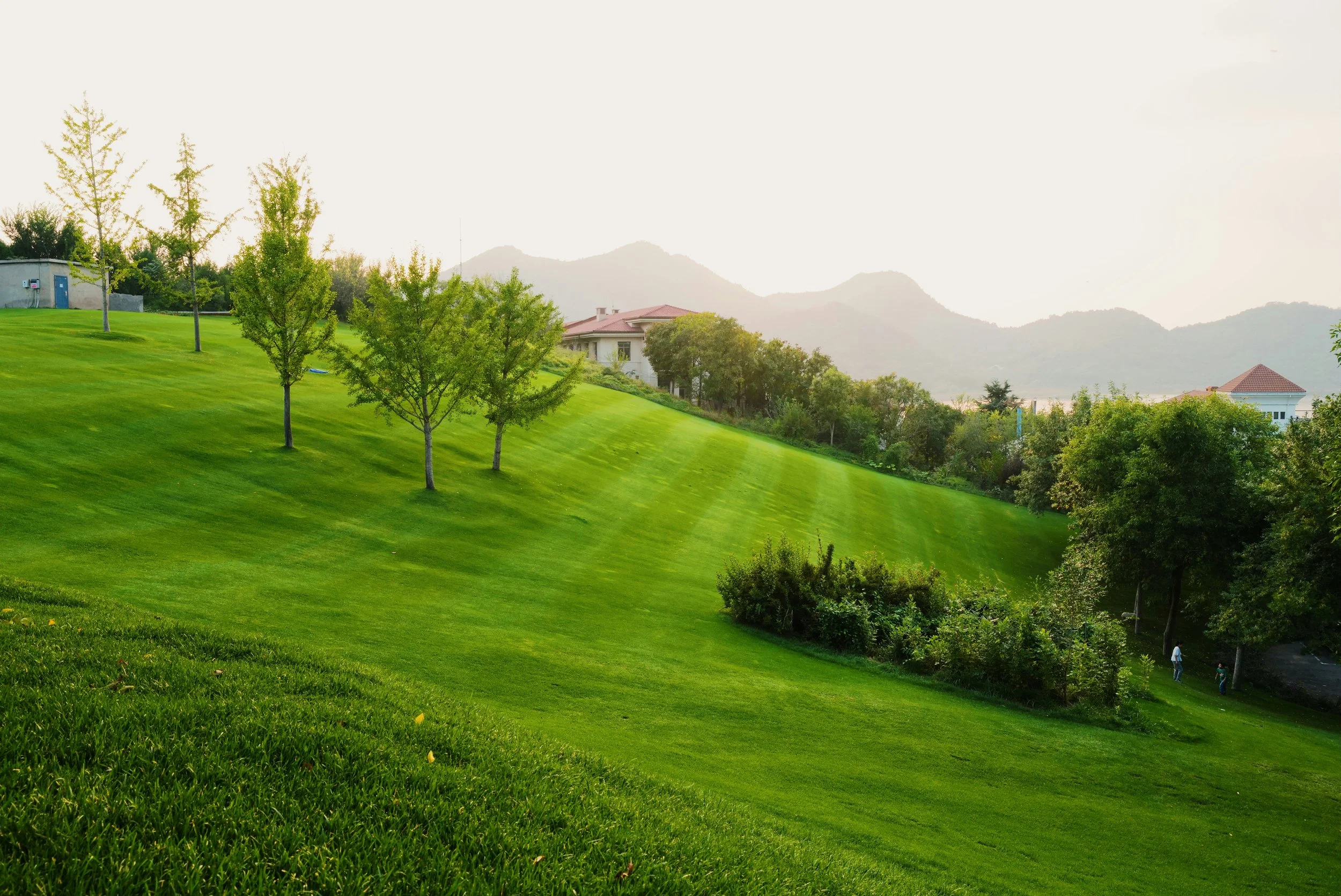 Green grassy field on a gentle slope with trees and houses in the background, mountain range in the distance, under a clear sky.