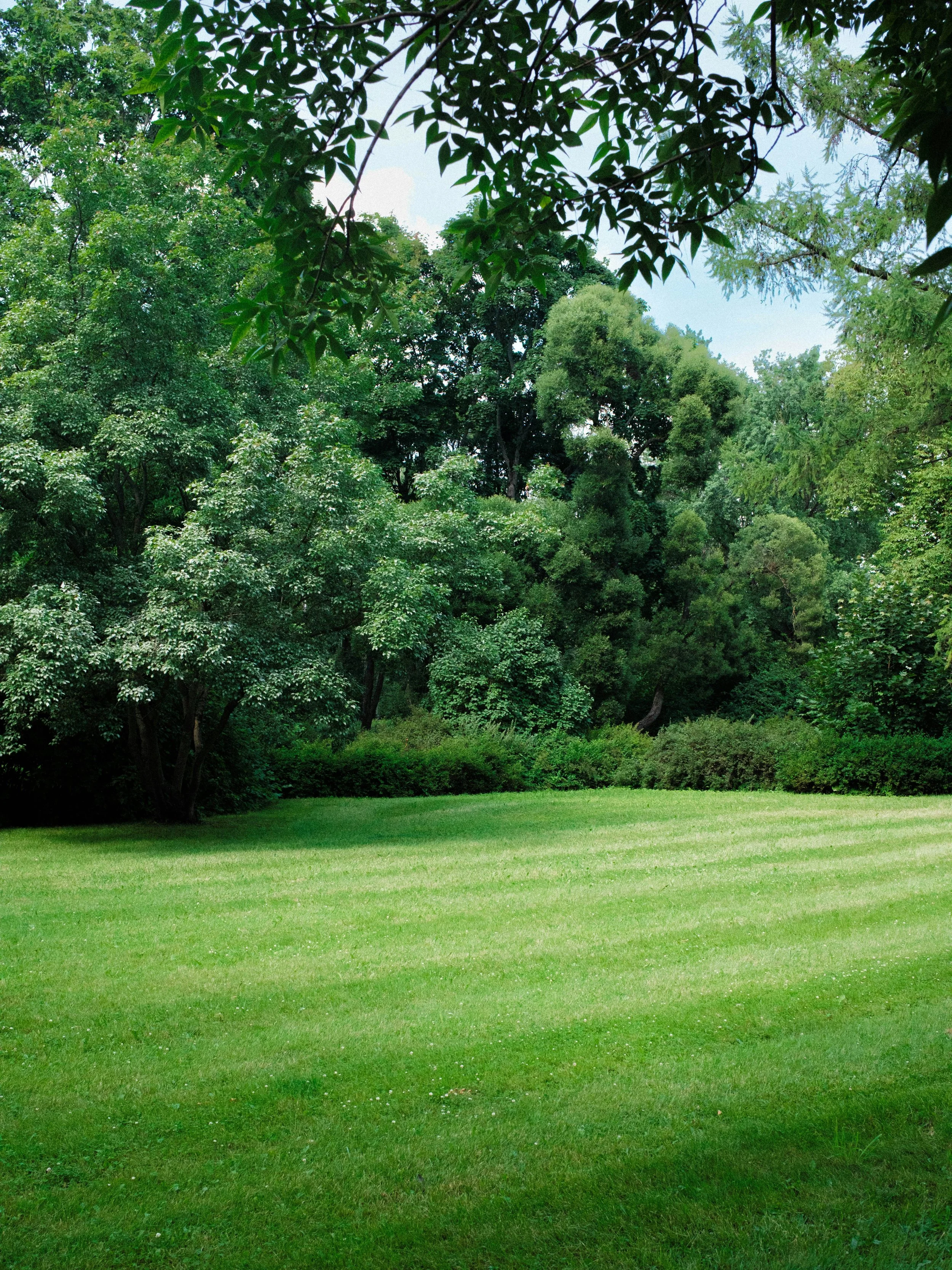 A lush green park with a large grassy area in the foreground and a variety of trees in the background under a partly cloudy sky.