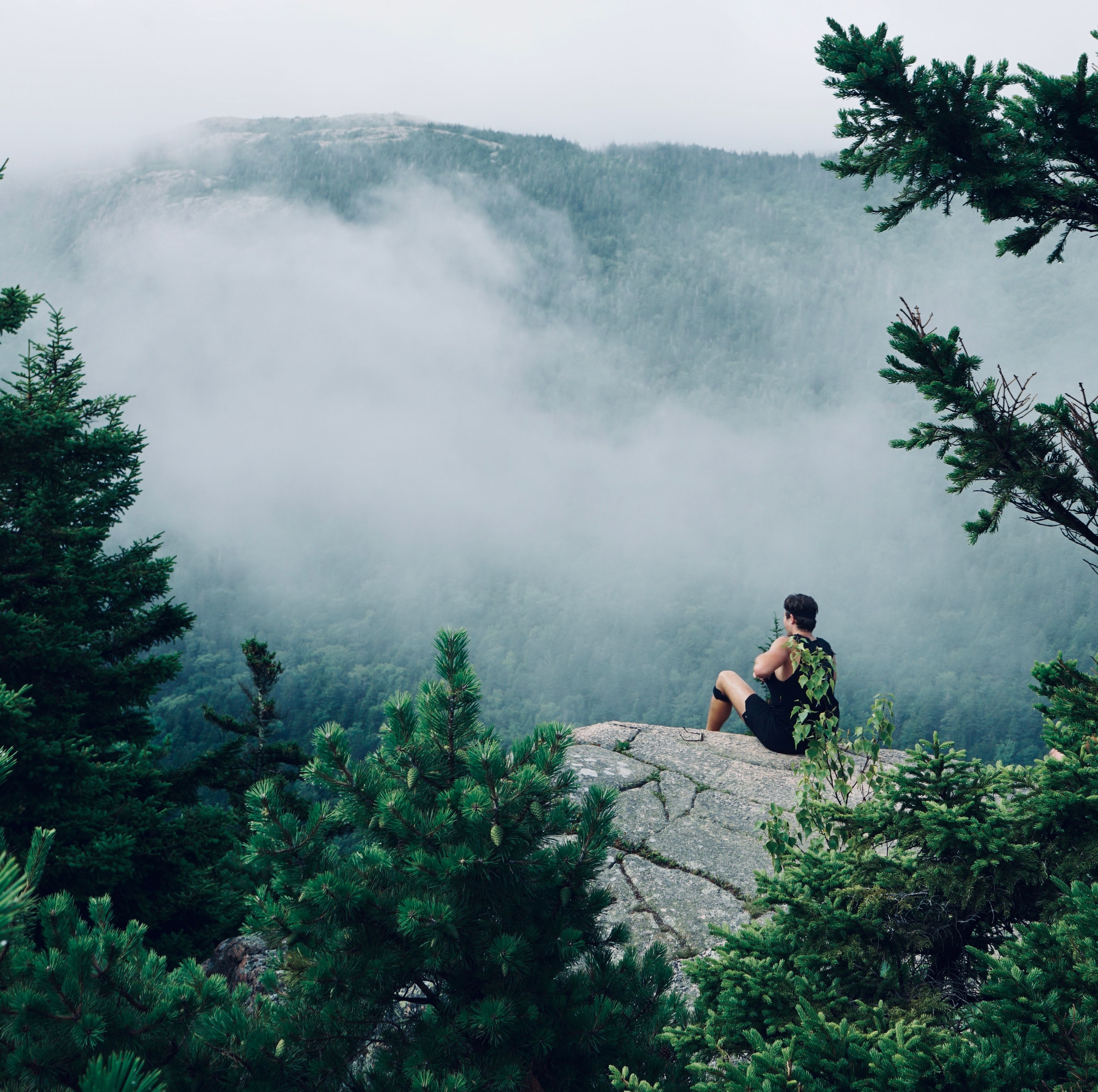 A person sitting on a rocky ledge amidst green pine trees, overlooking a misty mountainous landscape with dense forest and fog.