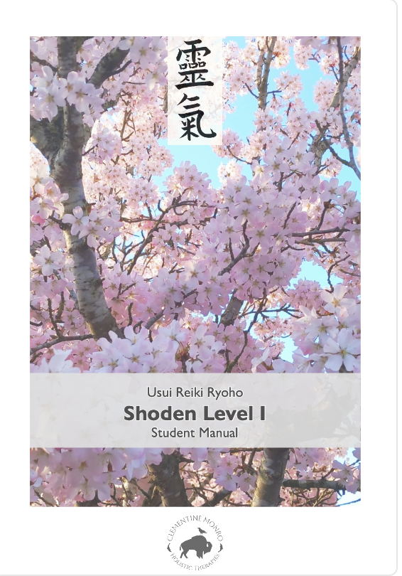 Shoden Level I (1st degree)